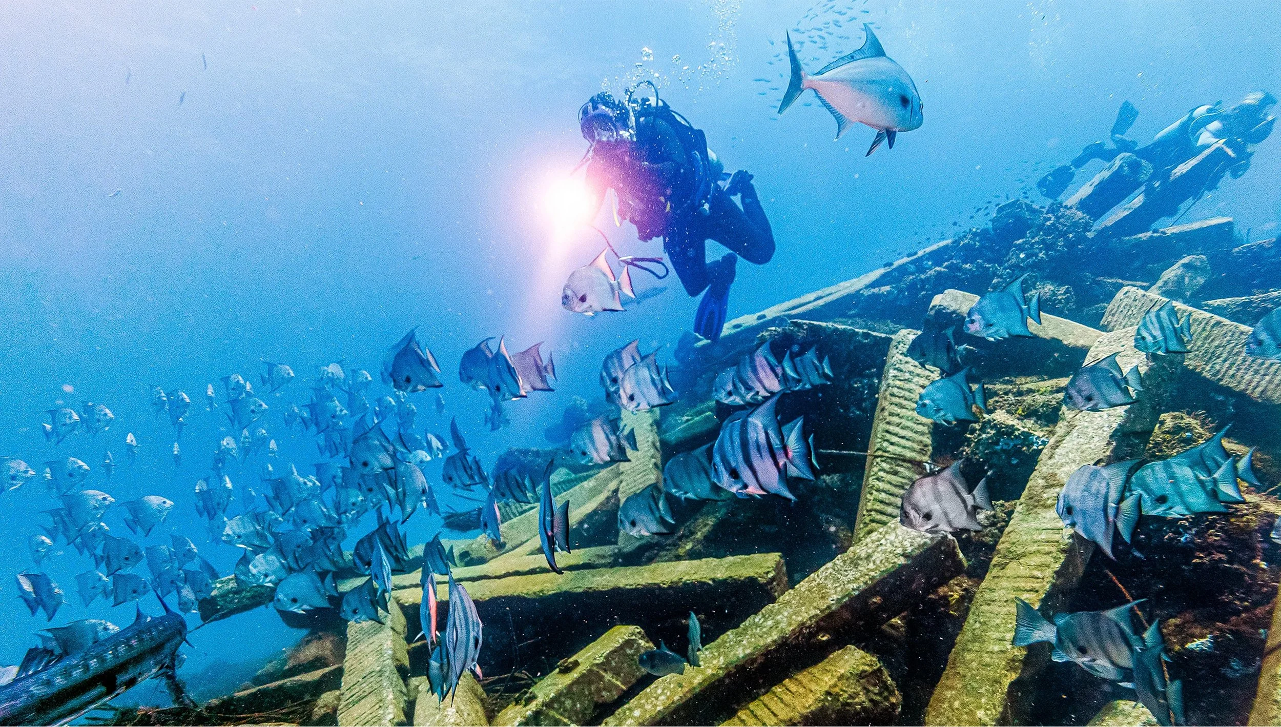 How a Man Made Reef is Helping Revive the Gulf of Mexico