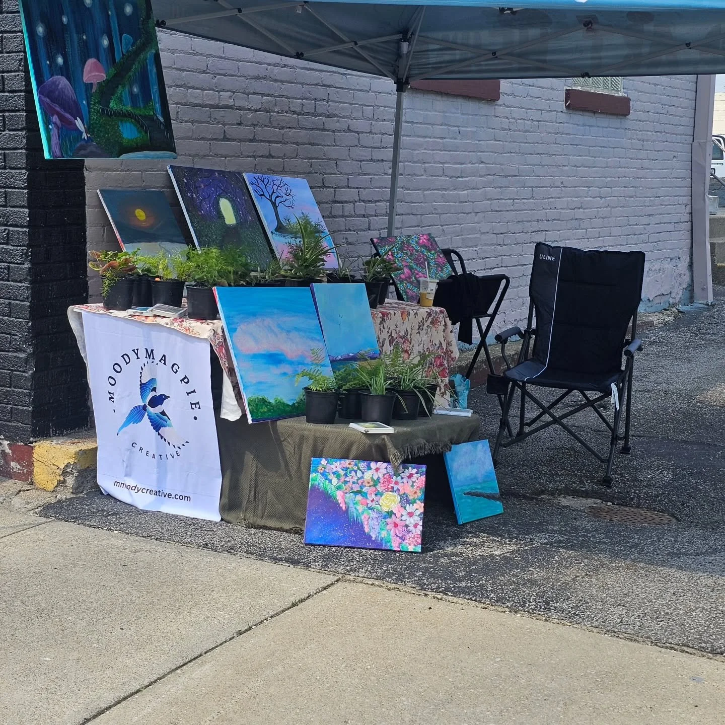 Check us out while the weather holds!