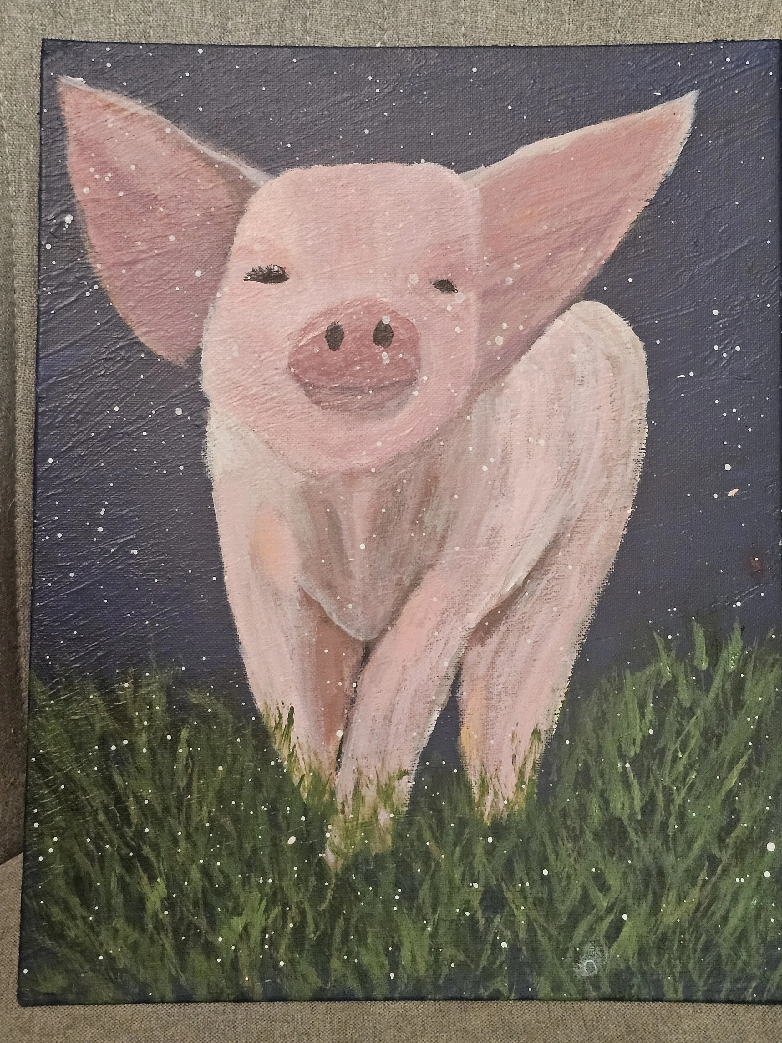 20260125_201316.jpg