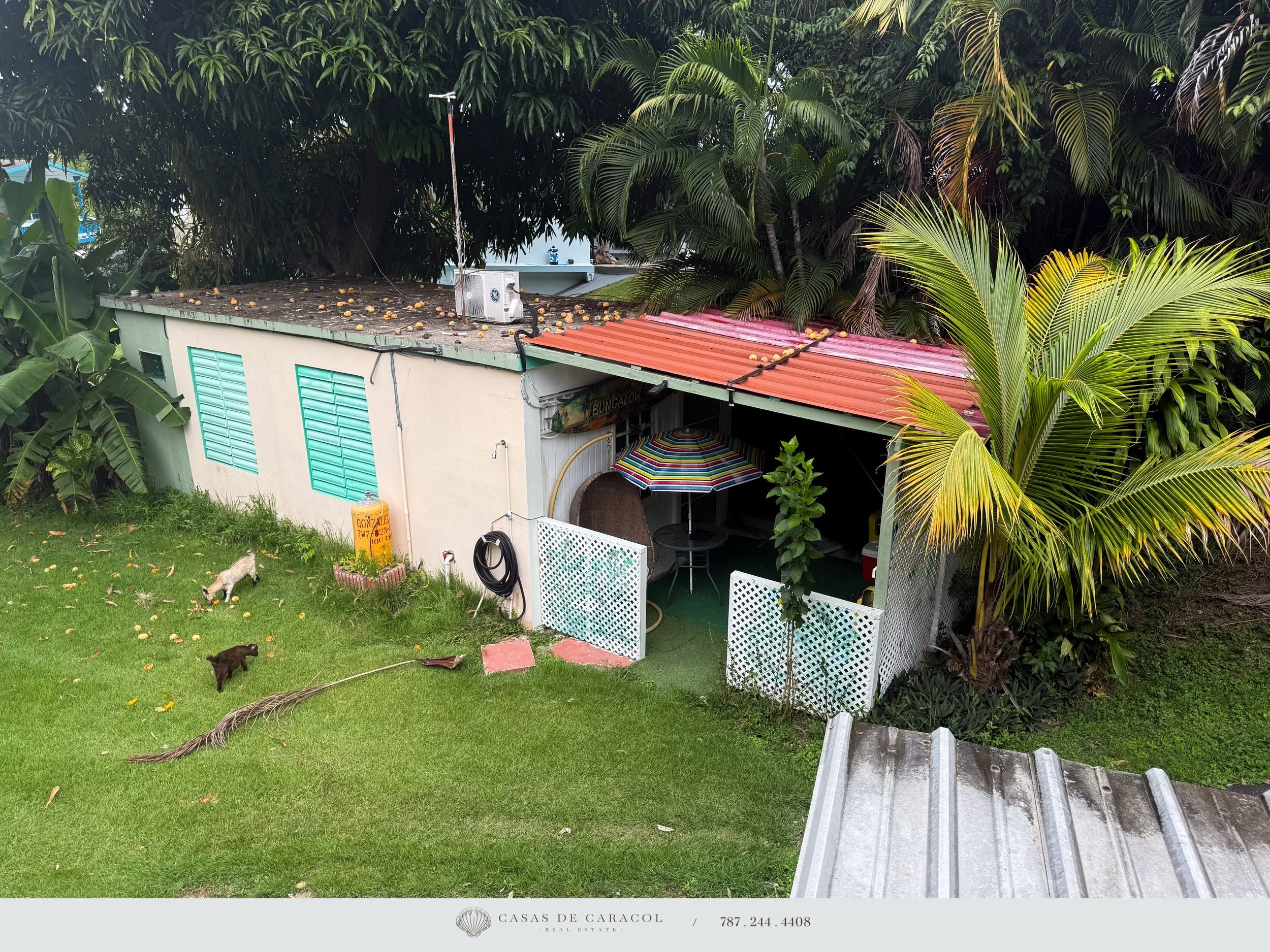 BarrioBarrero_Rincon-37.jpg