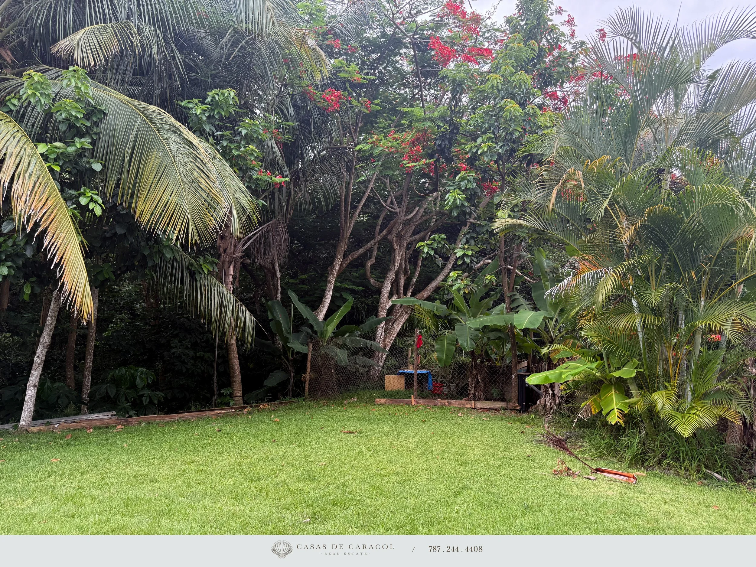 BarrioBarrero_Rincon-45.jpg