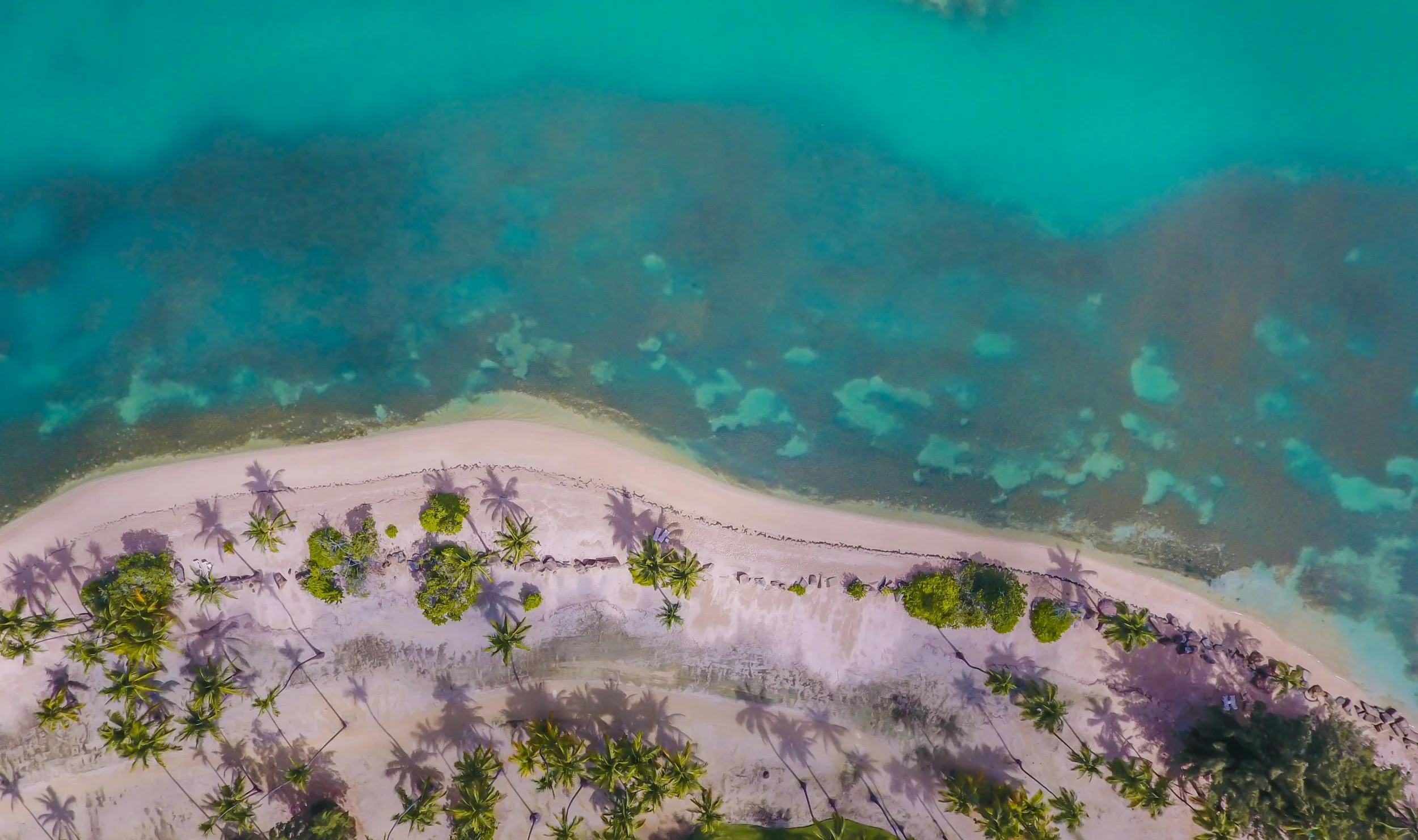 Coming Home: What Puerto Ricans in the Diaspora Should Know About Buying Property on the Island 🏝️🇵🇷