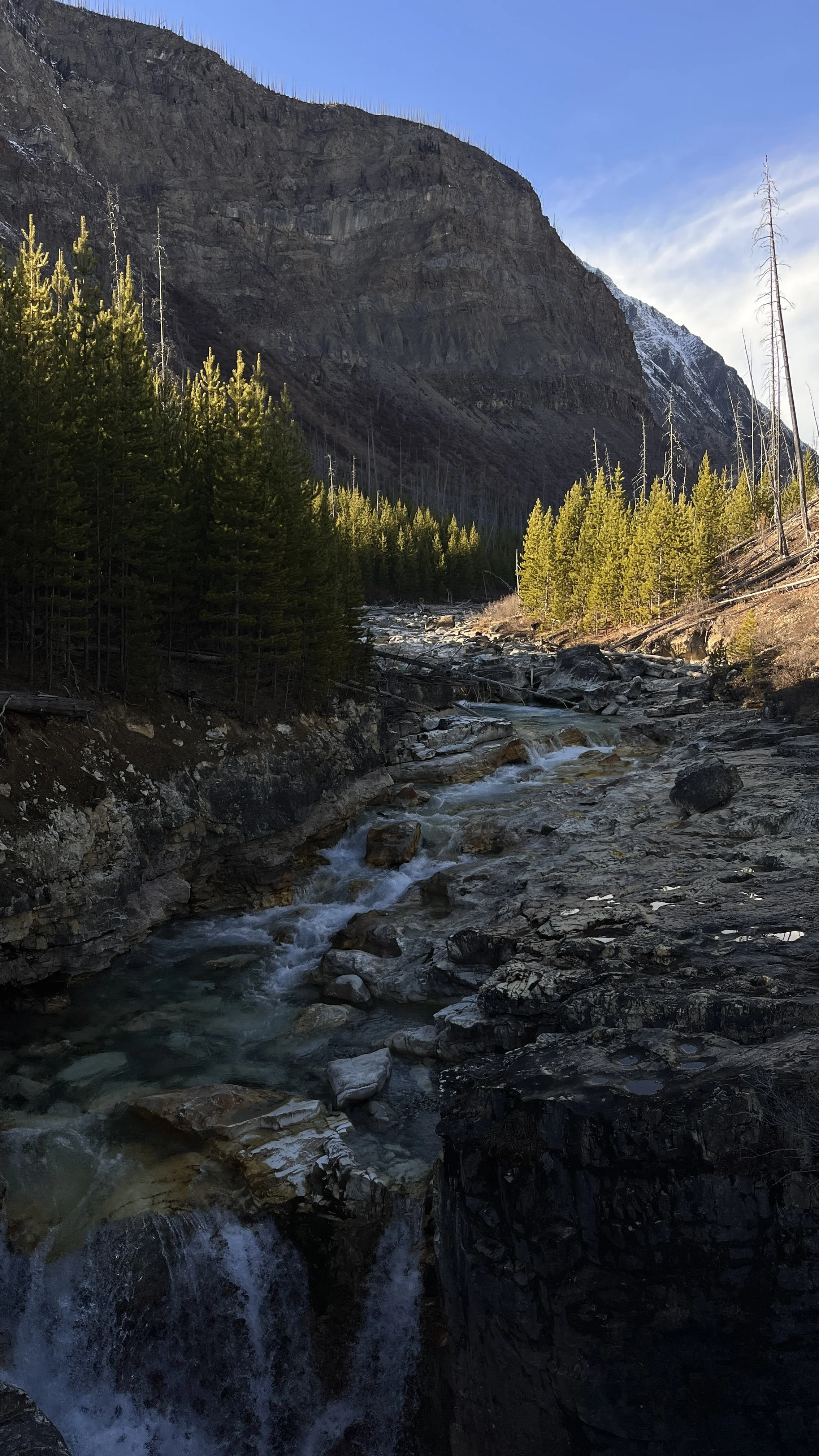 The Case for Recovery - Why Rest Is the Hardest (and Most Important) Part of Training