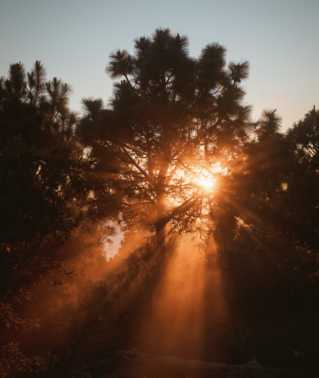 The summer that keeps going
