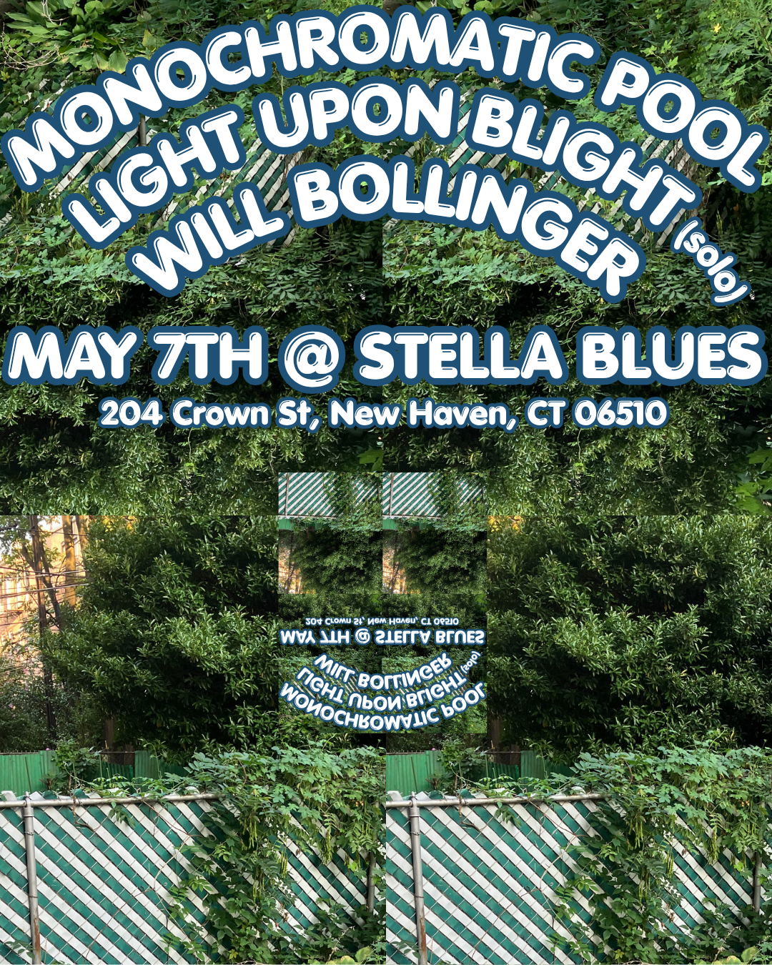Wil Bollinger, Monochromatic Pool & Light Upon Blight (Solo) 