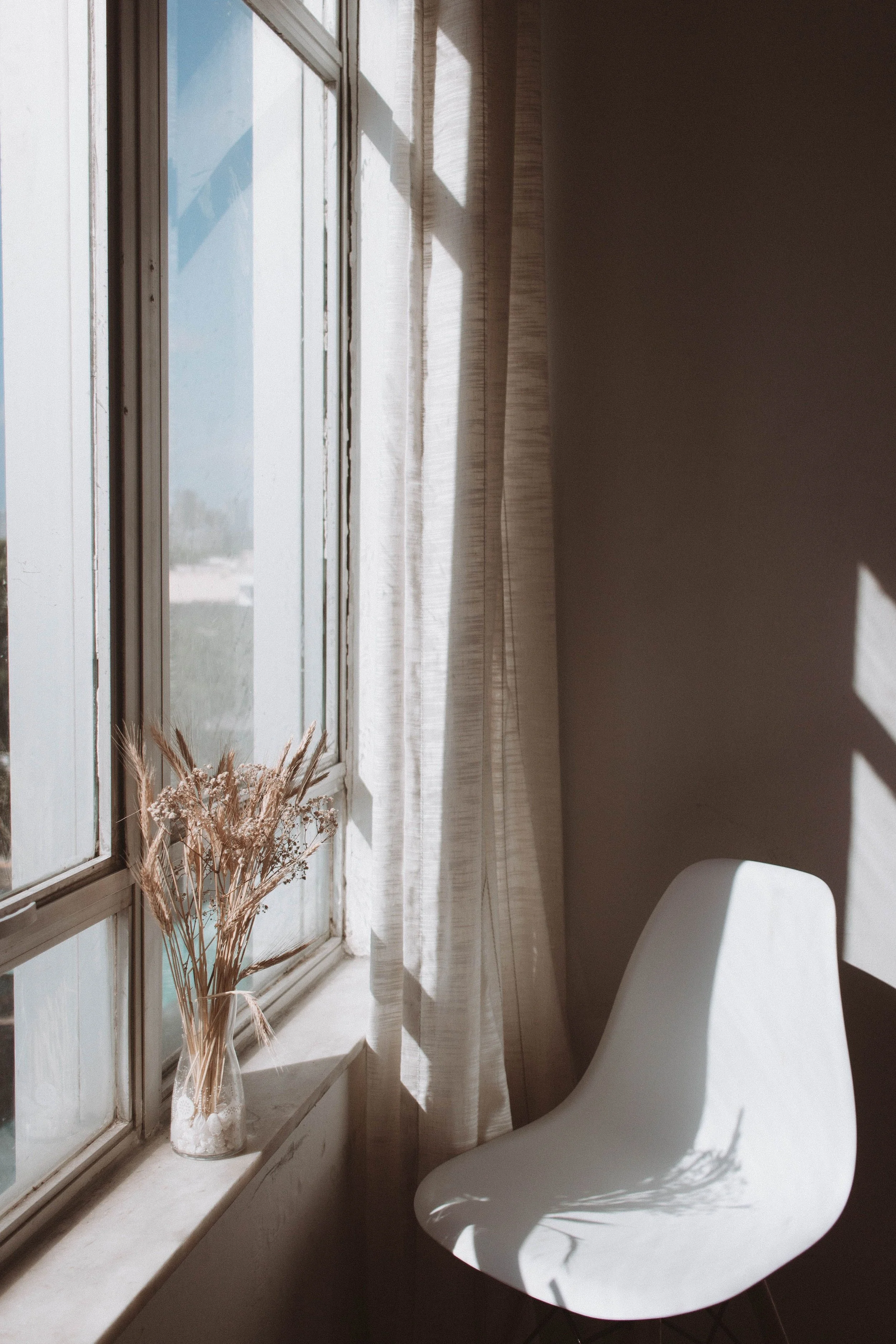 A quiet corner with soft natural light and dried grasses, representing the grounded preparation phase of EMDR therapy