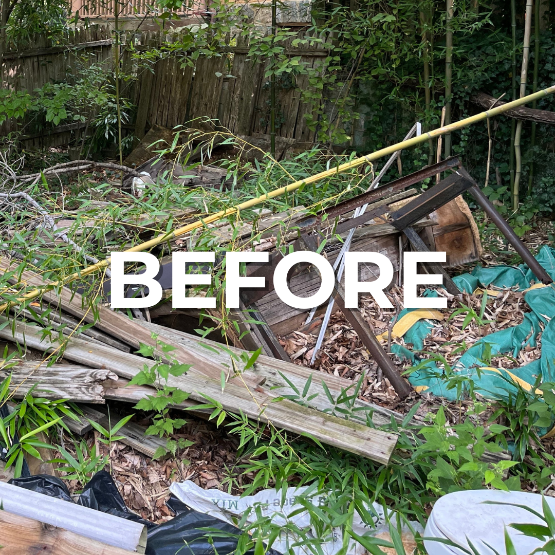 Branded "BEFORE" image showing a cluttered yard in the Main Line, PA.