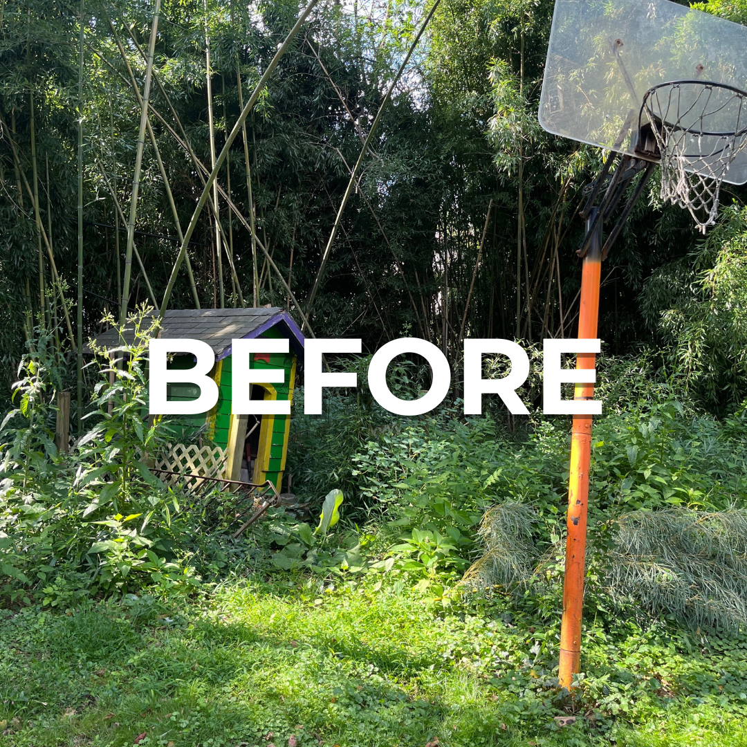 Branded "BEFORE" image showing a cluttered yard in the Main Line, PA.