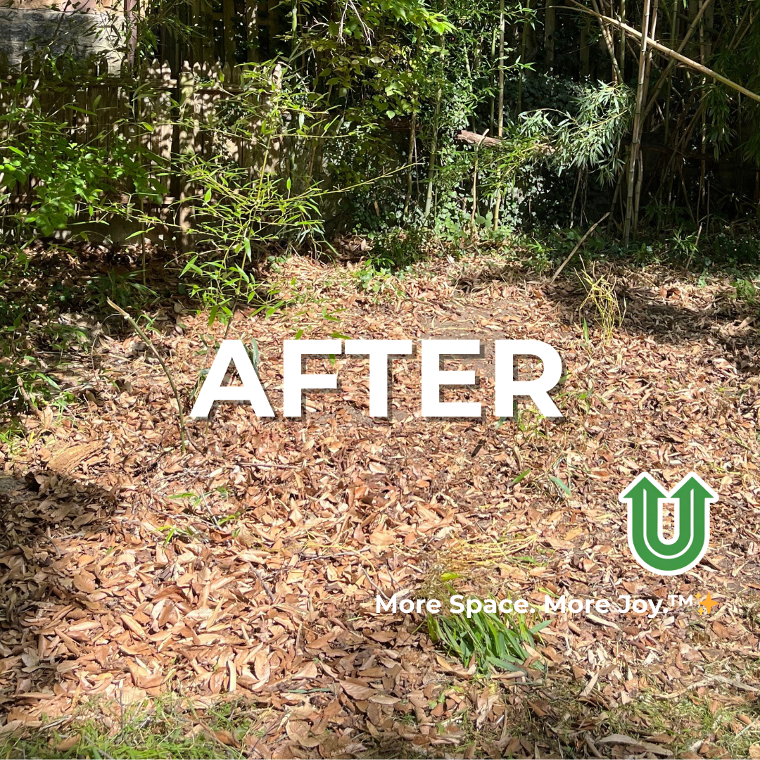 Branded "AFTER UPLIFT" image showing a newly cleared yard in the Main Line, PA. The image features the green Uplift “U” brand mark and the ‘More Space. More Joy.™ ✨’ tagline.