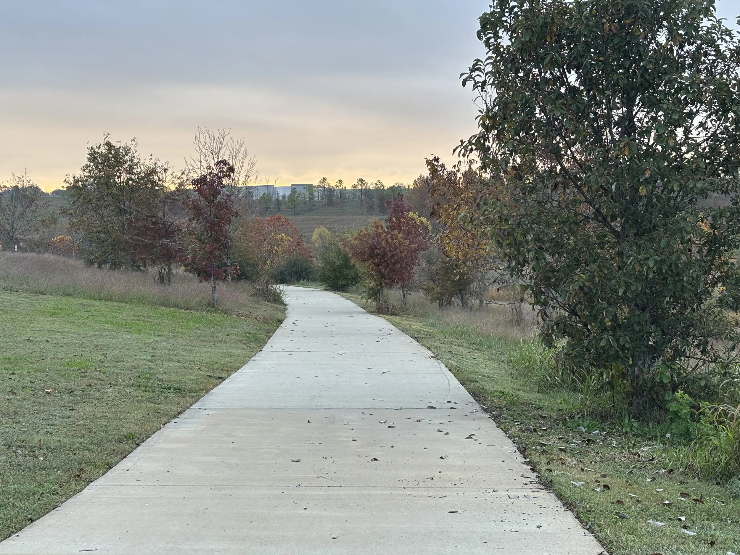A paved walking trail through a grassy park with trees showing autumn foliage, leading towards a distant hill and sky at sunset.