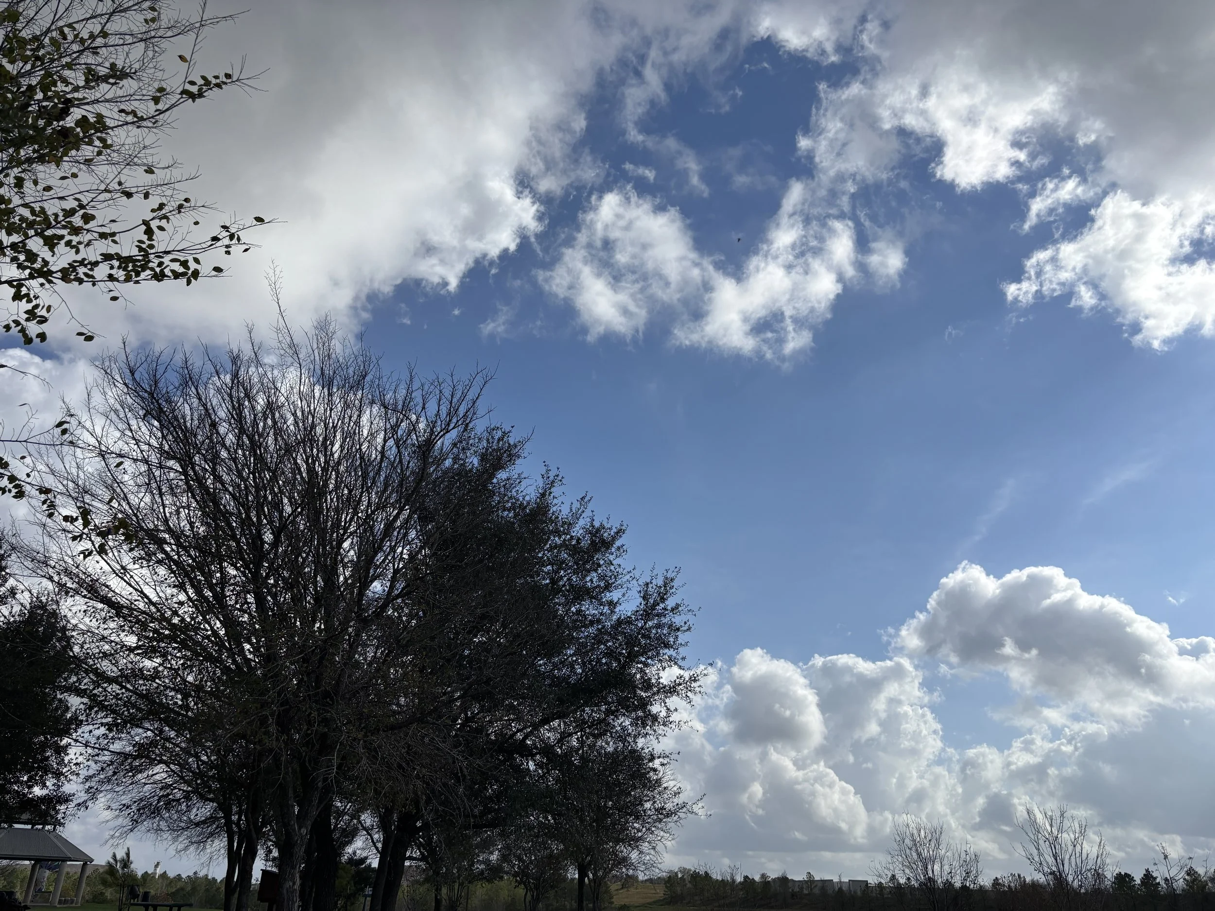 Cloudy sky with some blue visible and leafless trees in the foreground