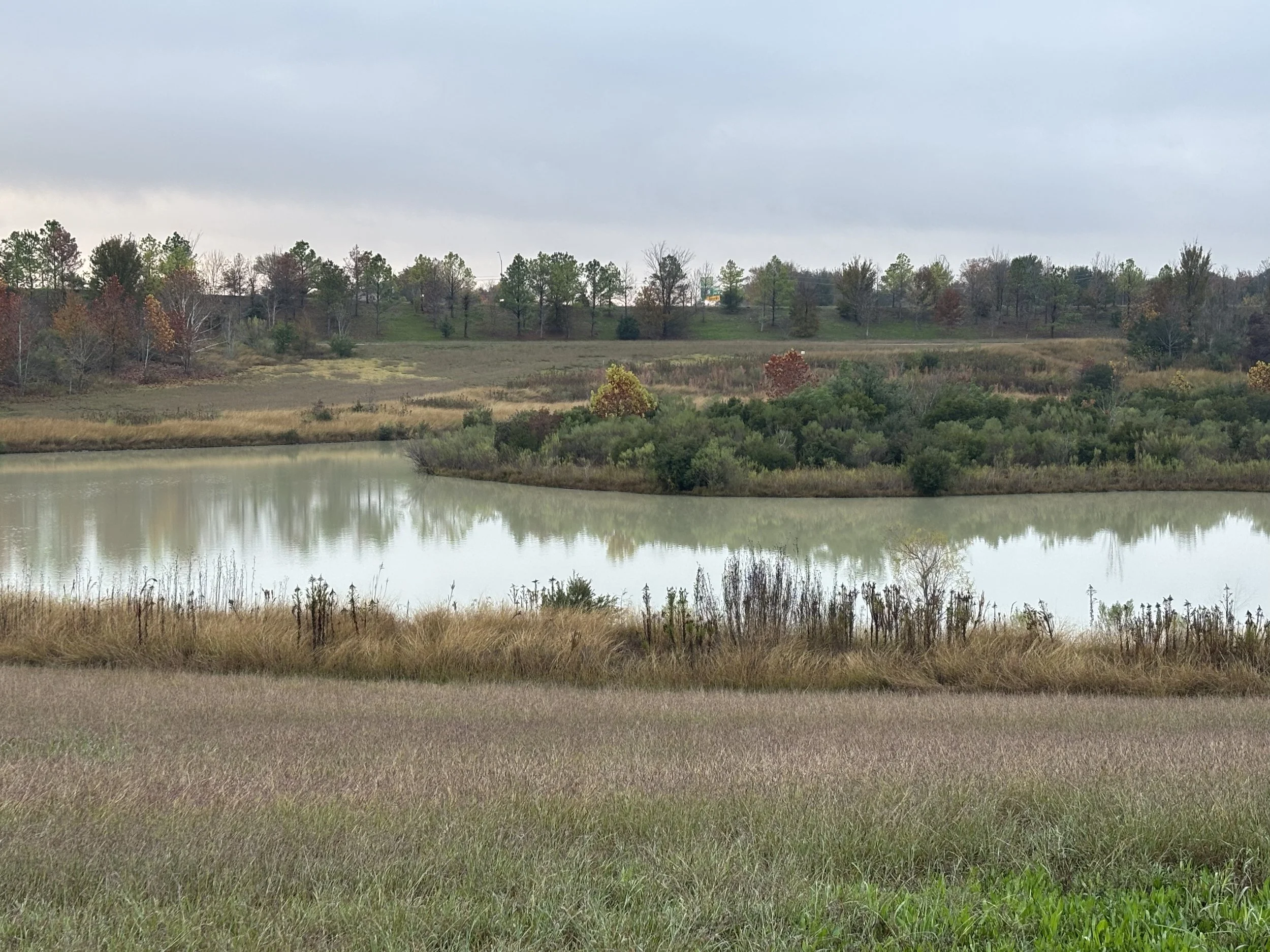 A peaceful landscape featuring a calm lake surrounded by grassy and bushy areas, with a backdrop of a gentle hill dotted with trees and overcast gray sky.