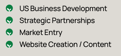 US Business Development, Strategic Partnerships, Market Entry, and Website Creation/Content.