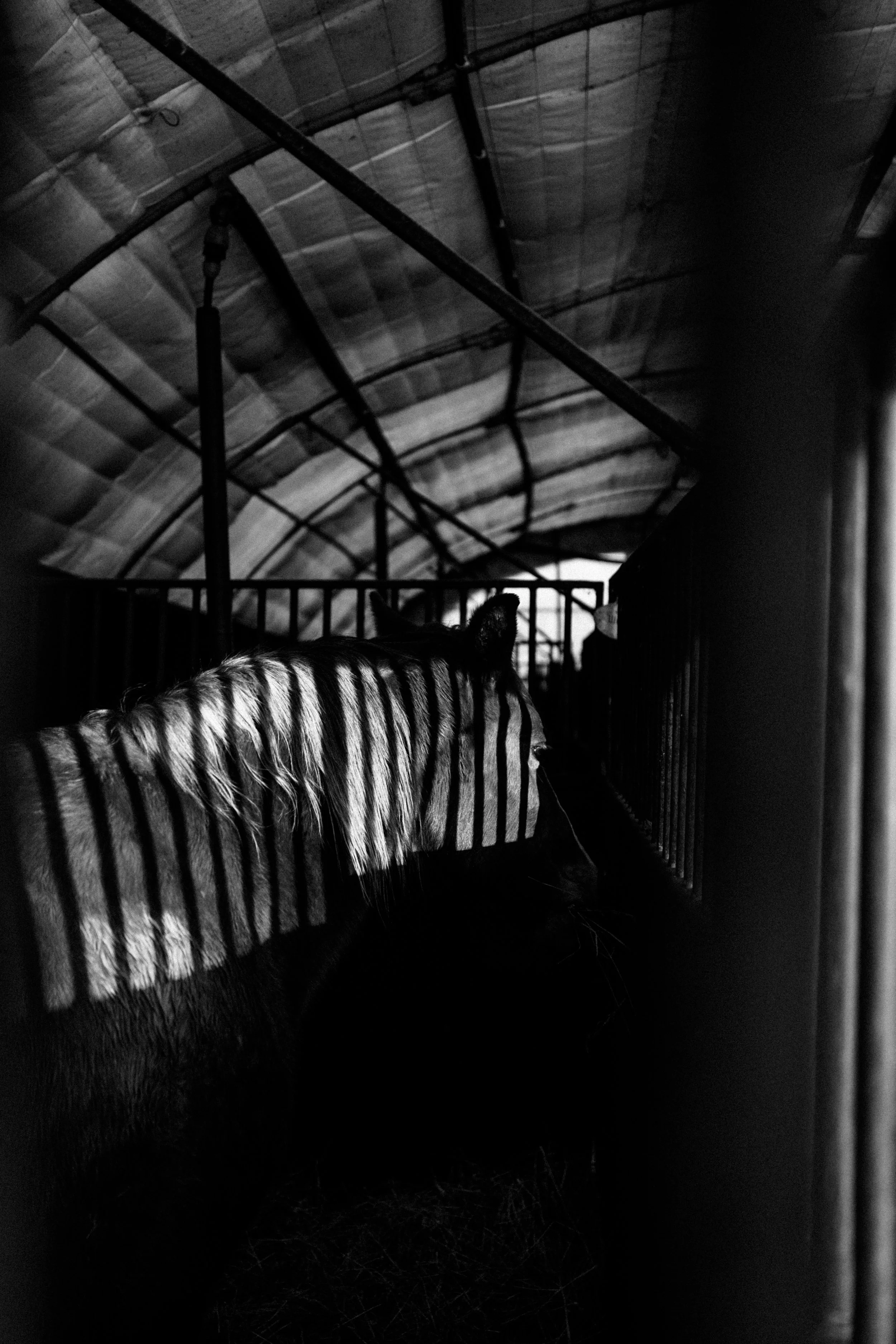 adgor-final-54.jpg