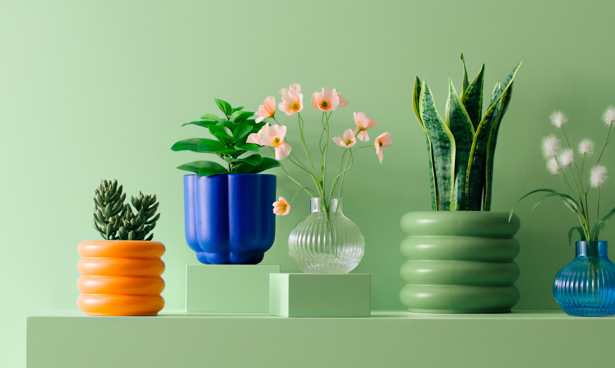 TARGET – Spring