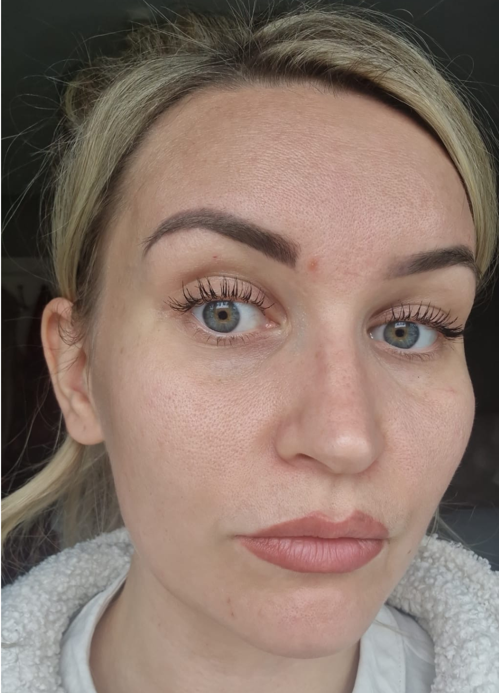 Eyebrow Correction (from other practitioners work) in Basingstoke