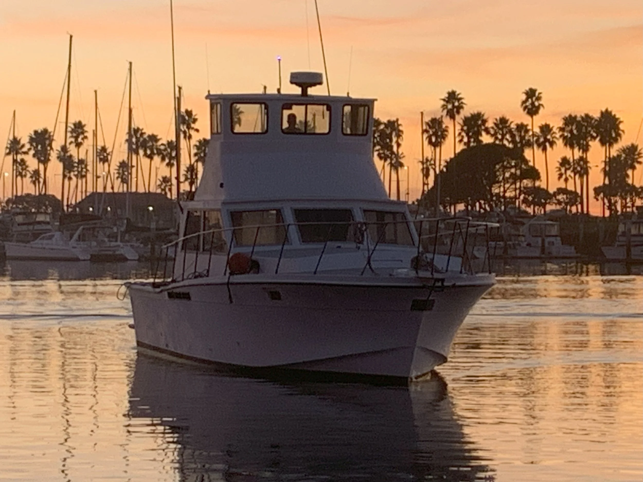 IMG_4243.jpg
