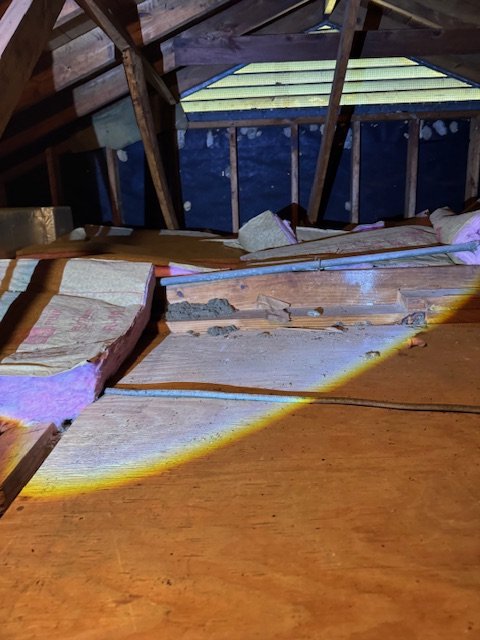 Home Inspector vs. Code Inspector: What’s the Difference — and Why You Should Hire a Home Inspector for Your Real Estate Transaction