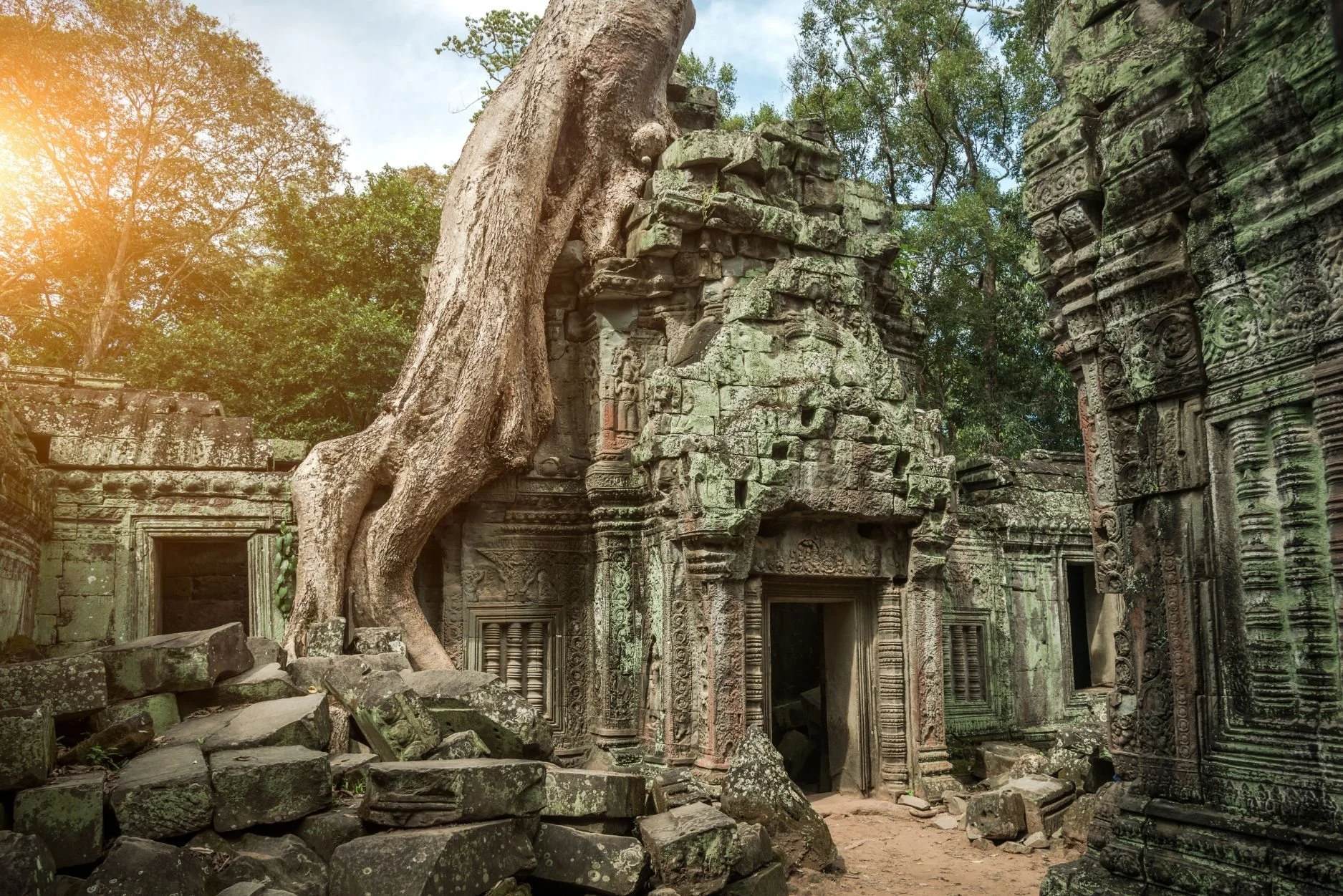 Angkor-Wat-Cambodia-tree-temple--2-.jpg