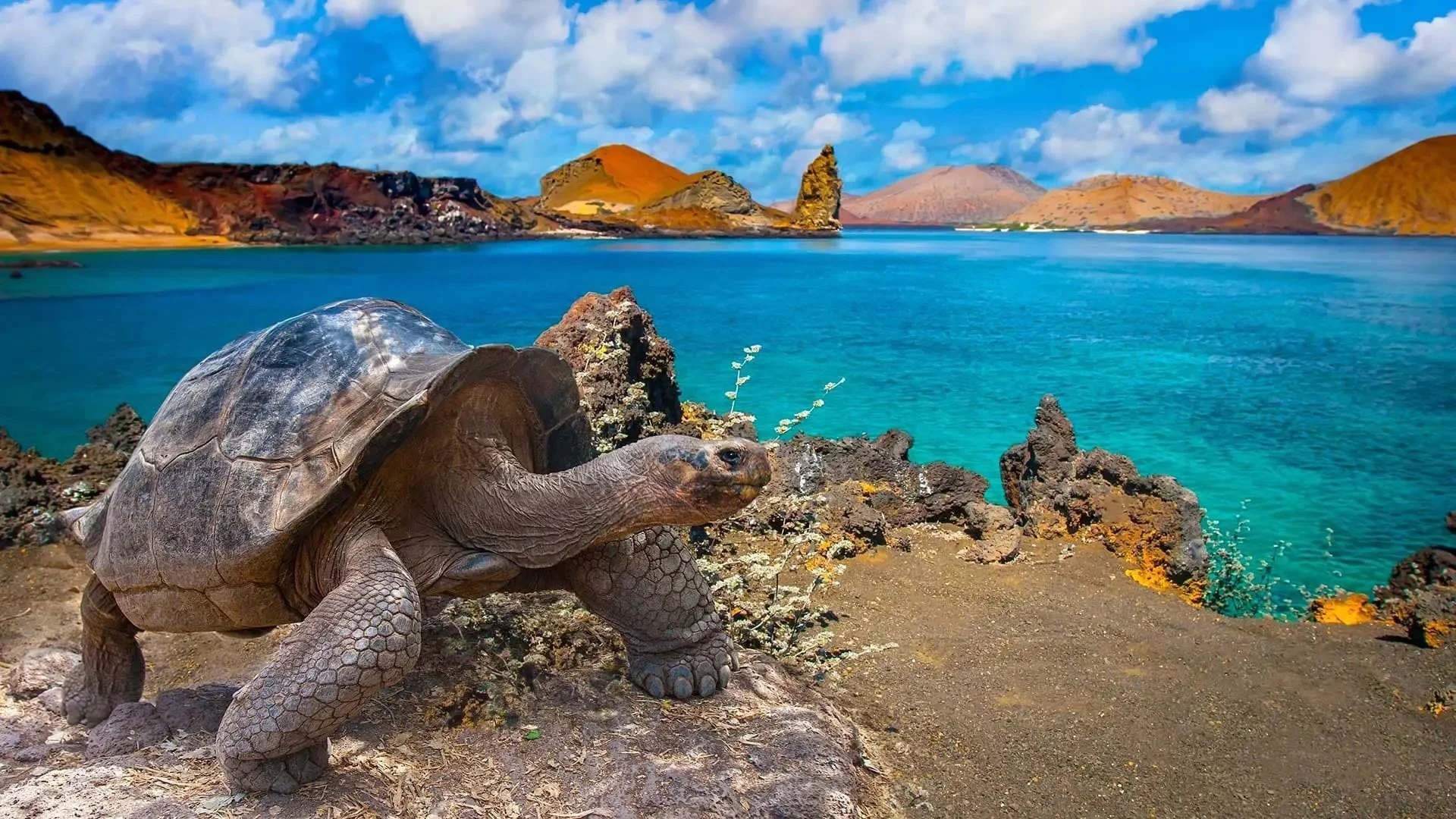 galapagos islands 2.jpg