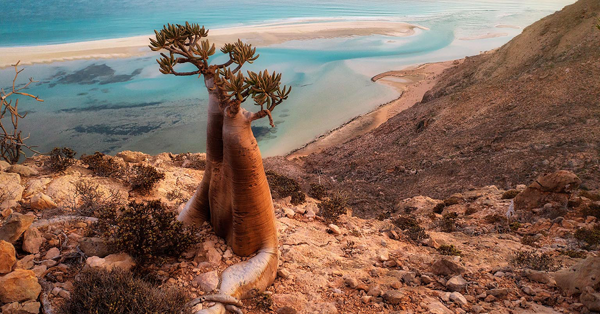 Socotra.png