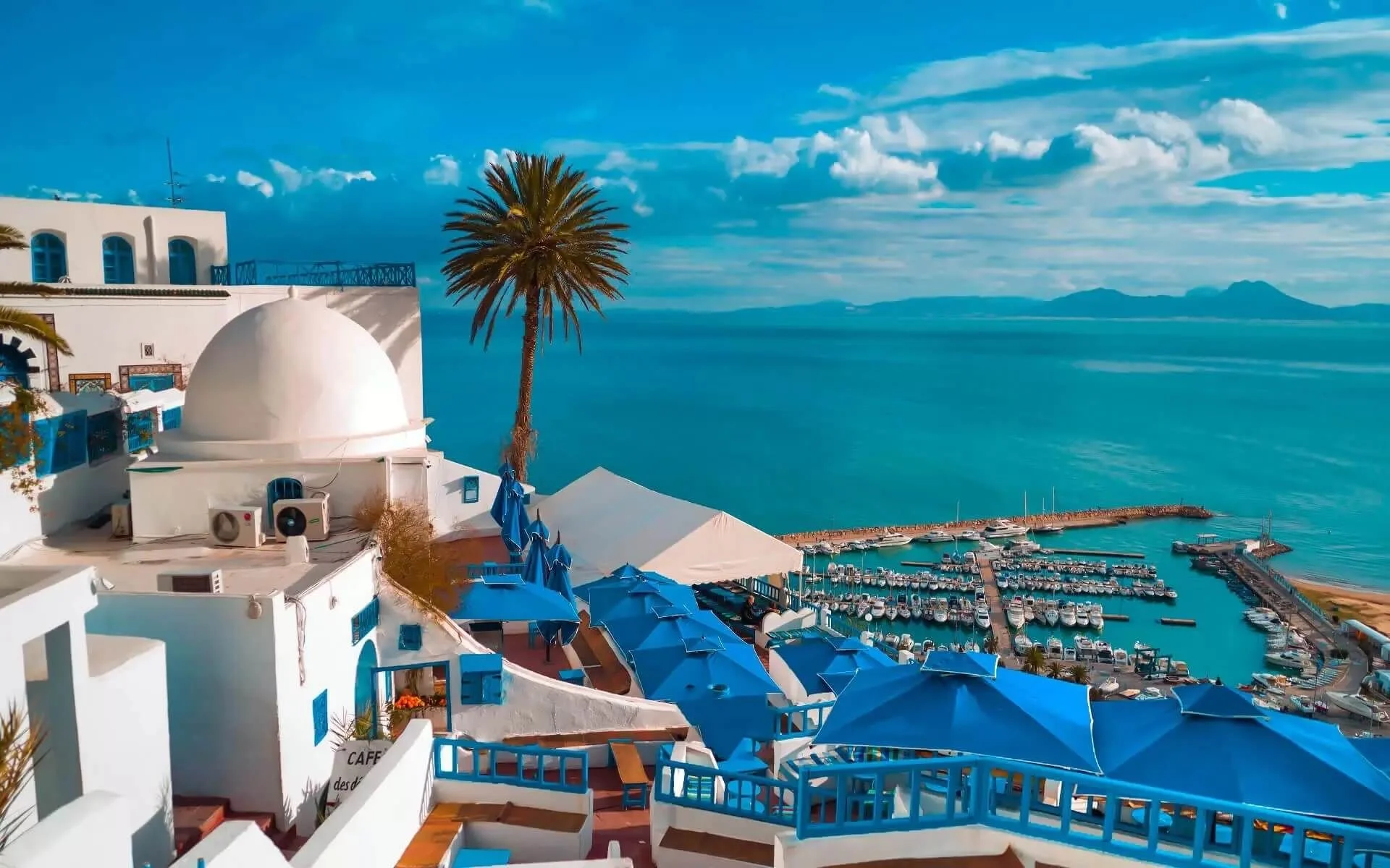 Tunisia.jpg
