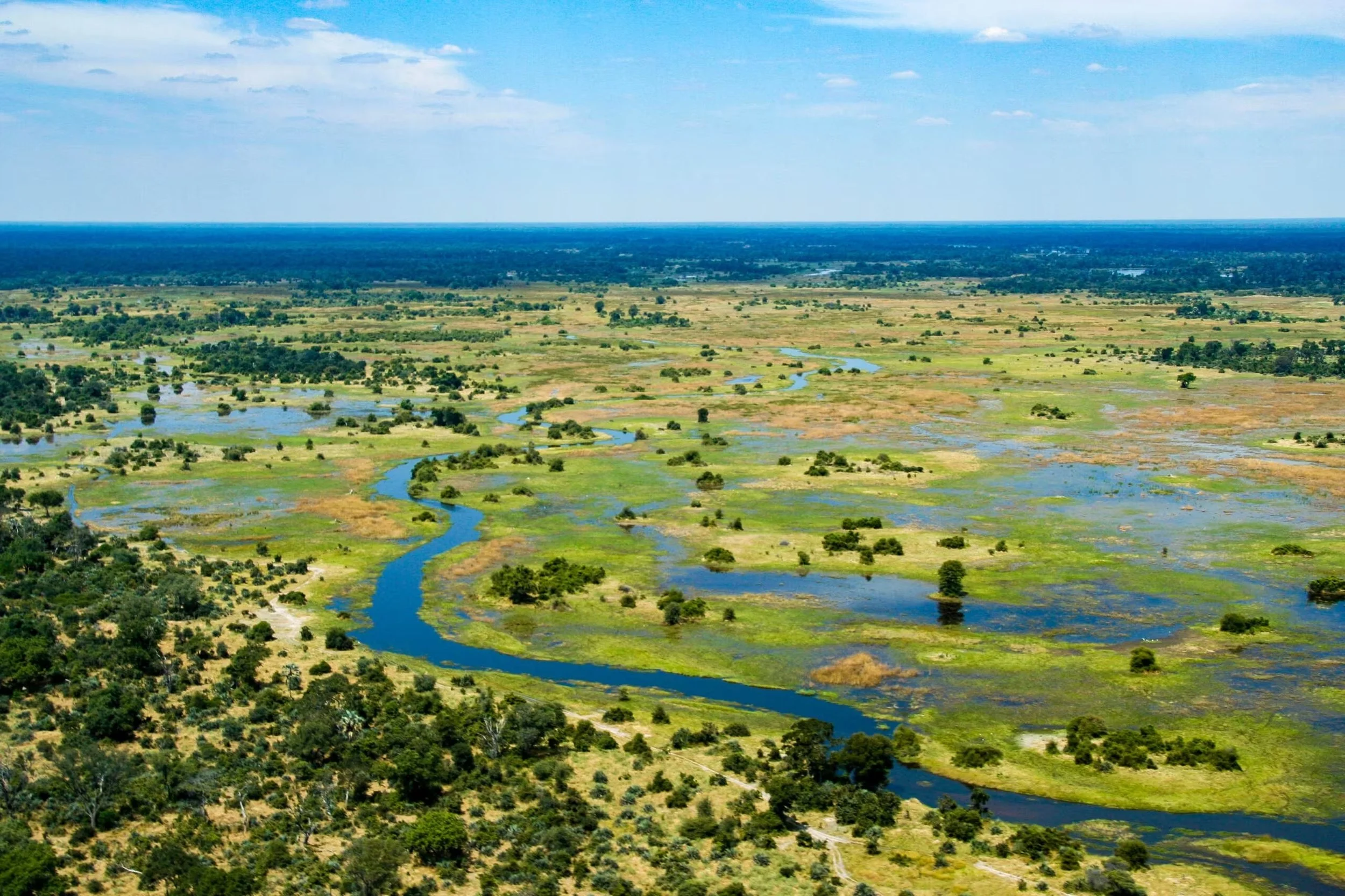 Okavango copy.jpg