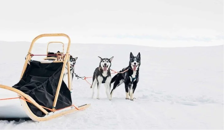 Image 6-17-25 at 10.57 AM.jpeg