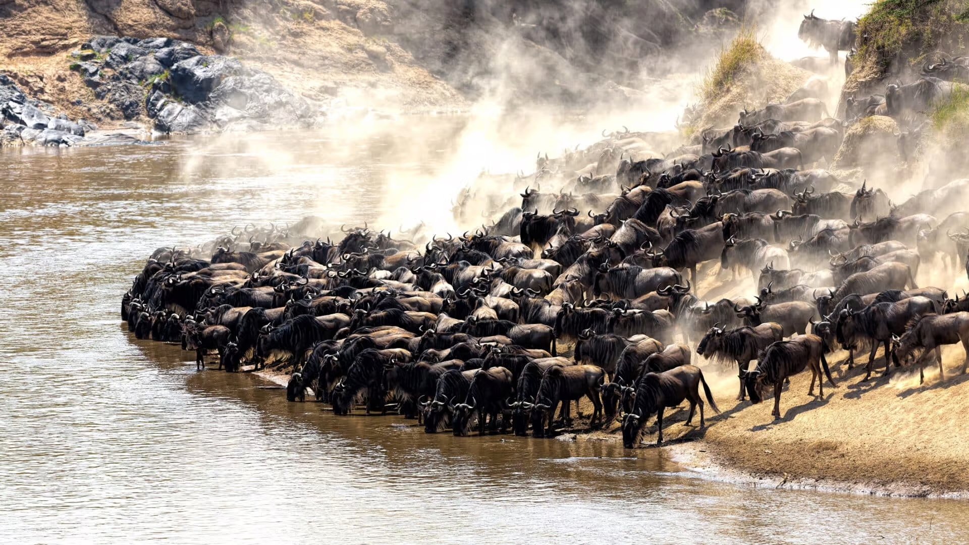 Great Migration copy.jpg