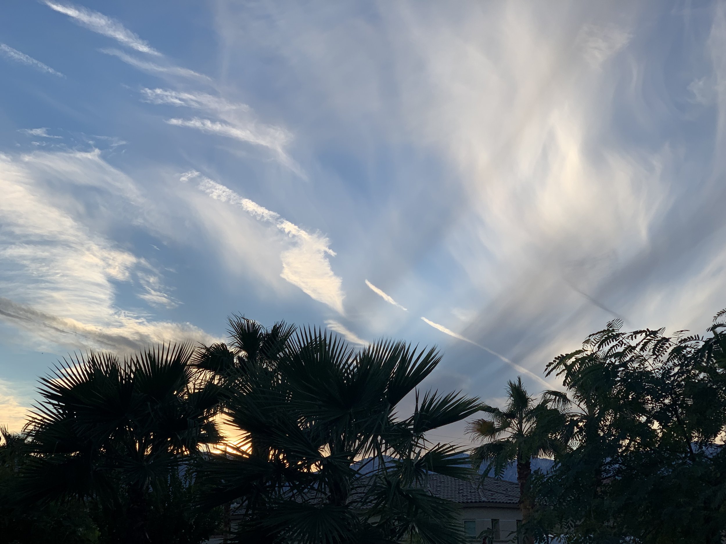 IMG_3583.jpeg