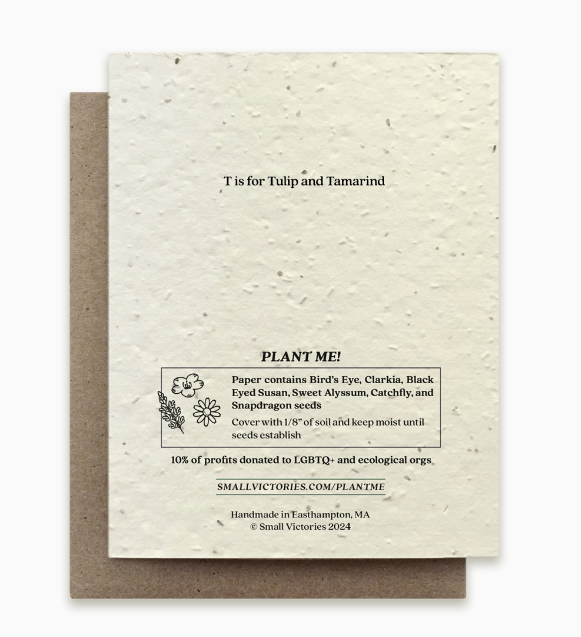 Small Victories Letter T Plantable Card Back.png
