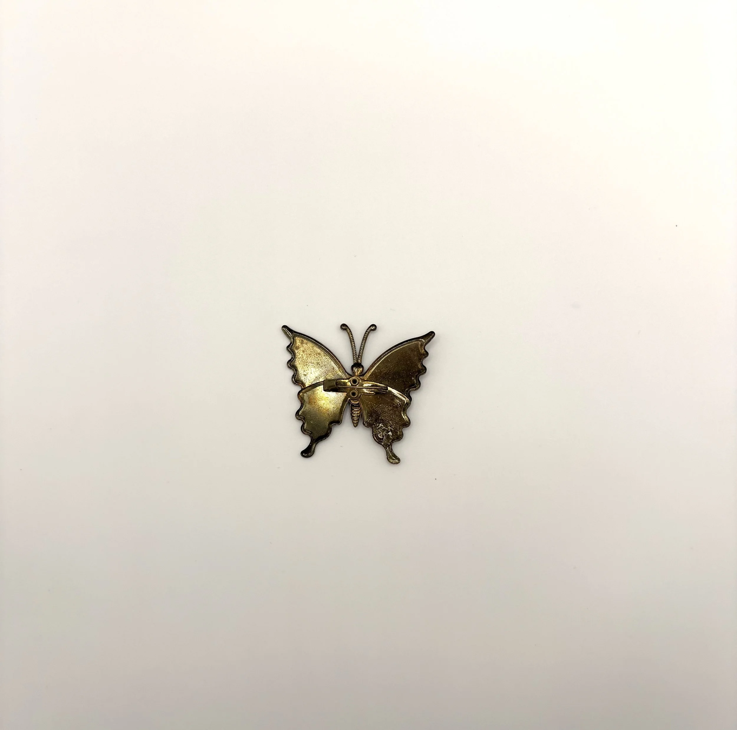 IMG_1567.jpeg