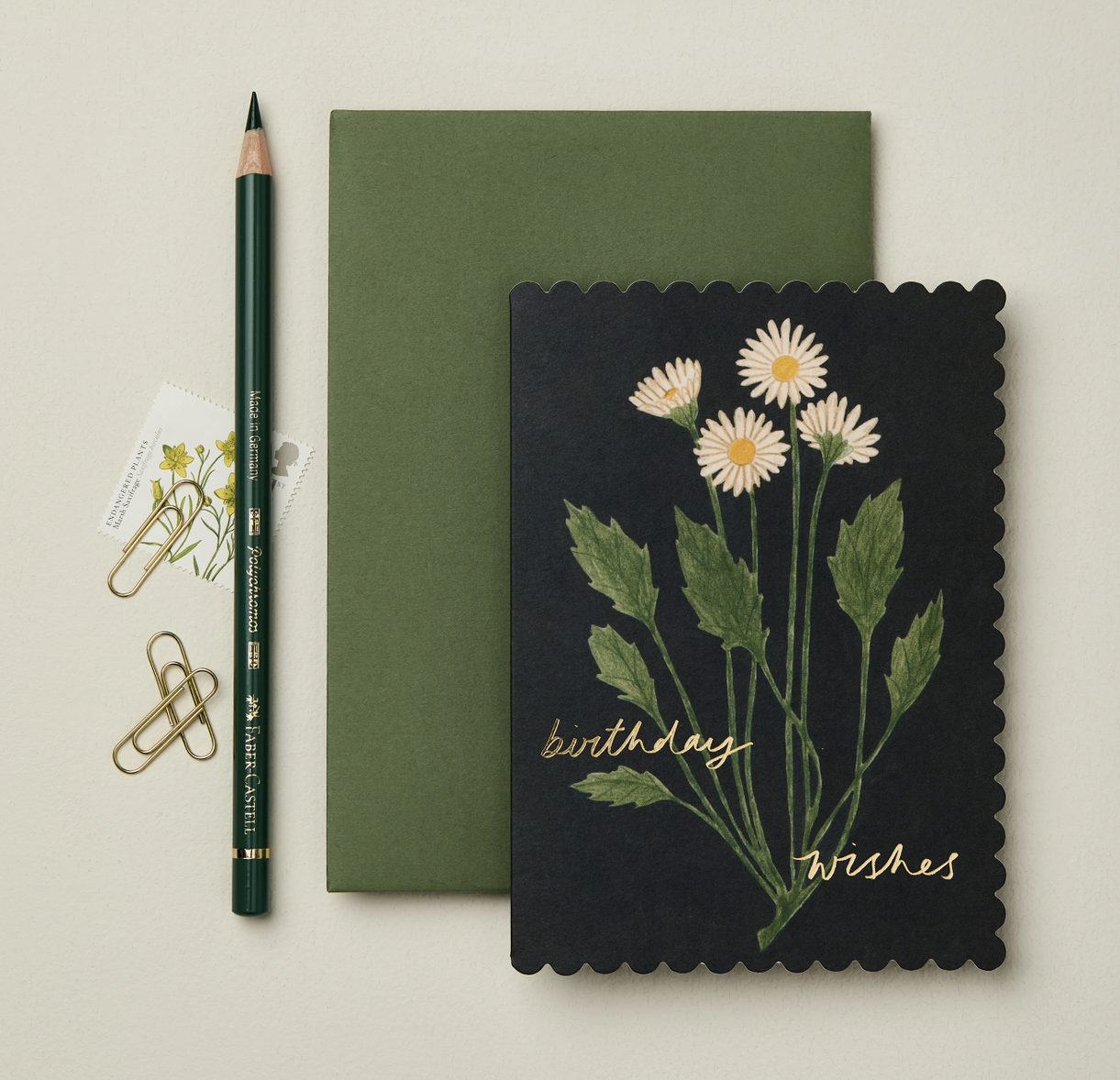 Botanical Daisy Birthday Wishes Card