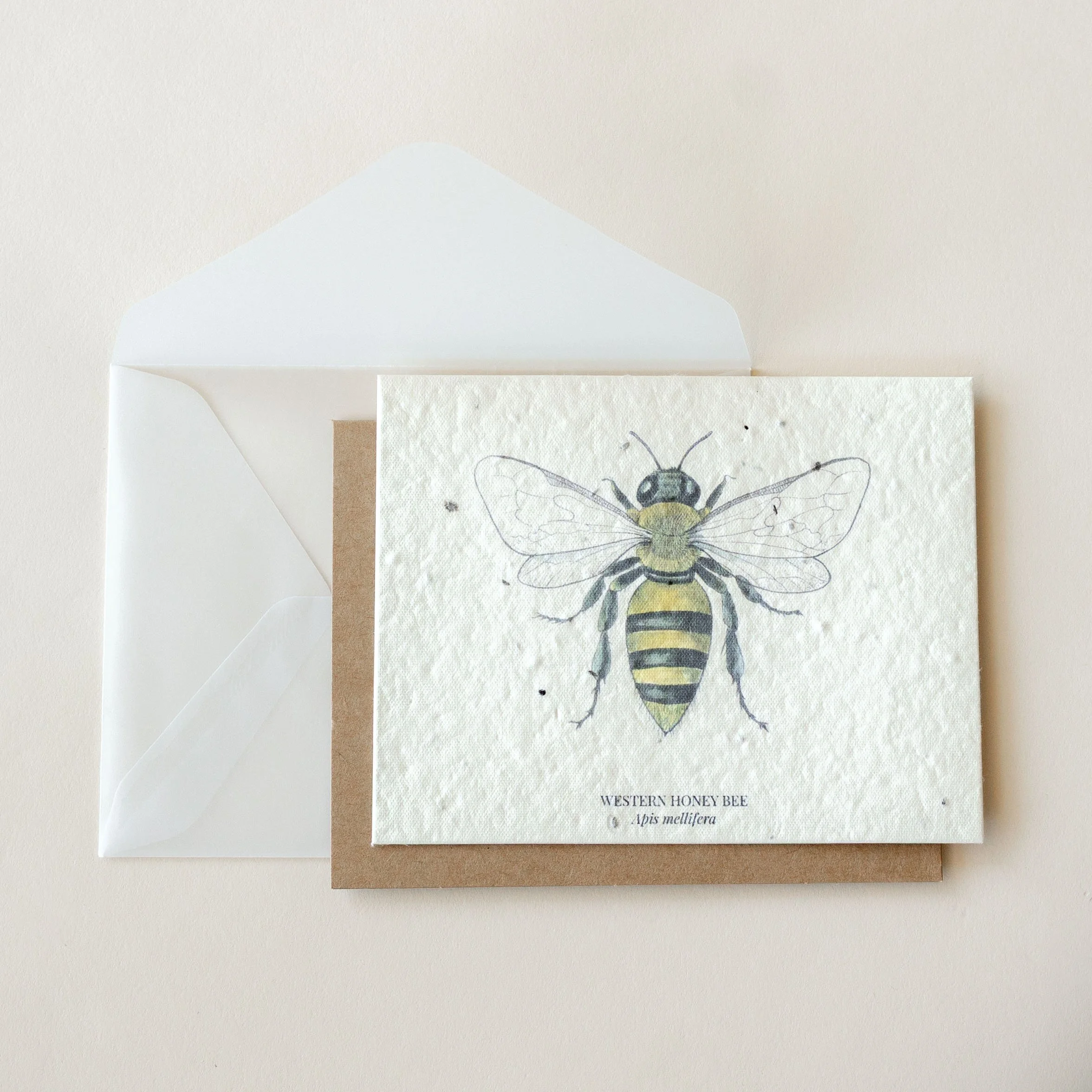 Honey Bee Plantable Wildflower Seed card