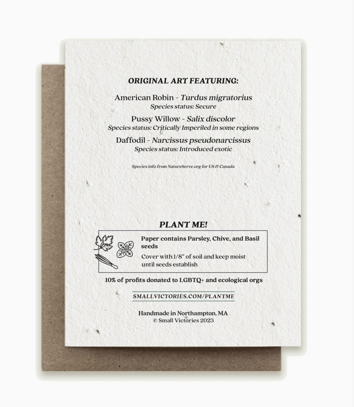Small Victories Spring Robin Plantable Card Back.png