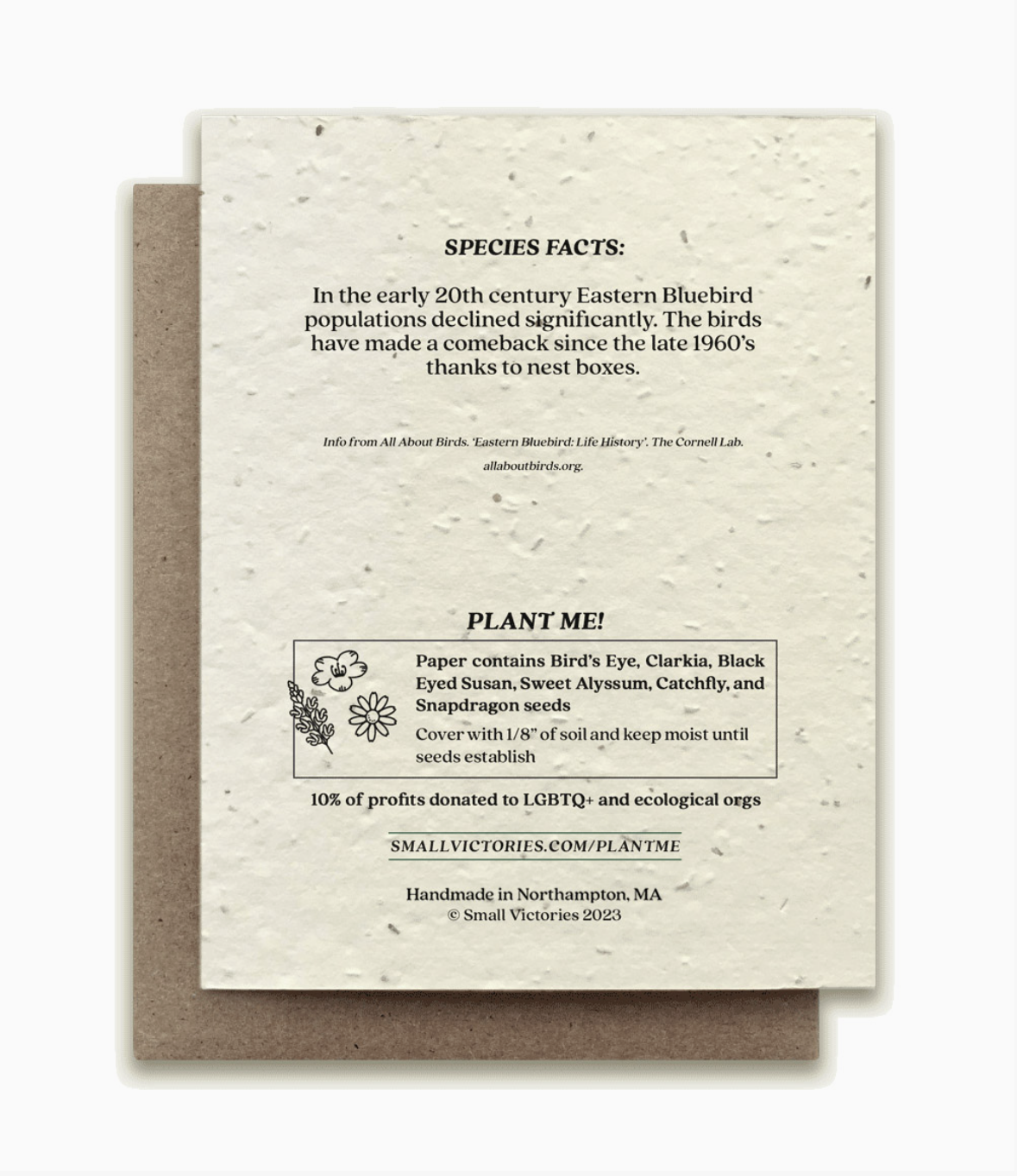 Small Victories BlueBird Plantable Card Back.png
