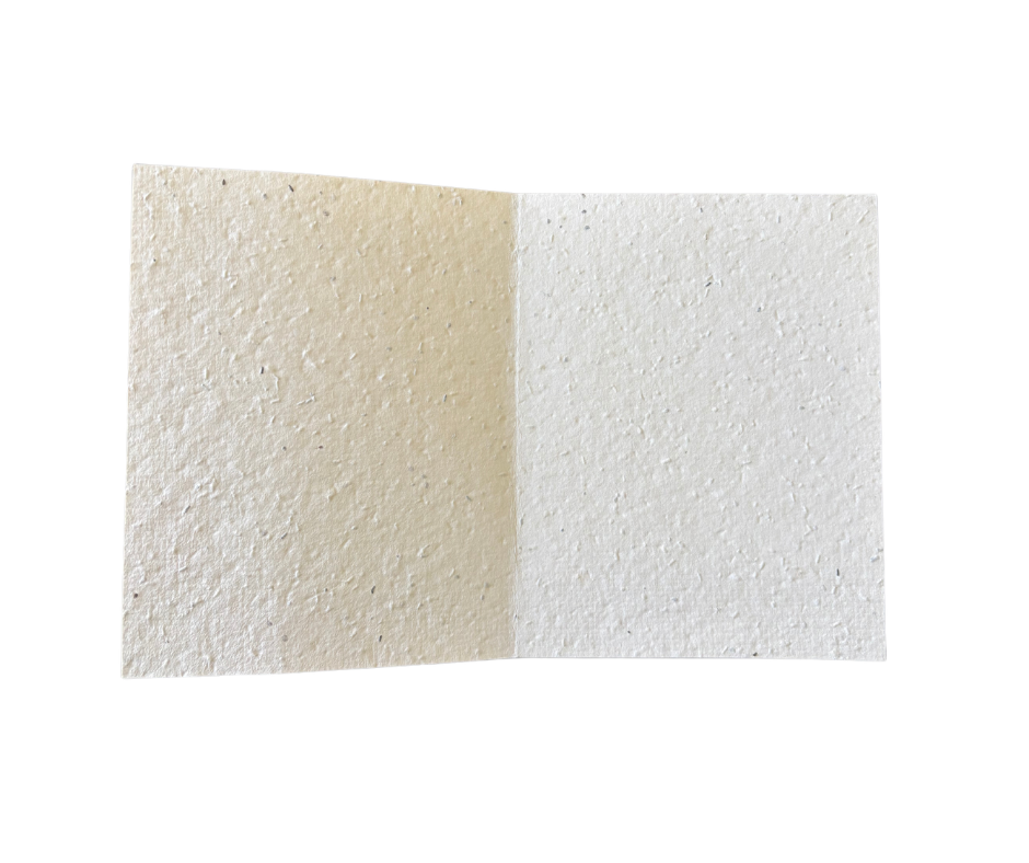Inside of Plantable Herb Card.png (Copy)