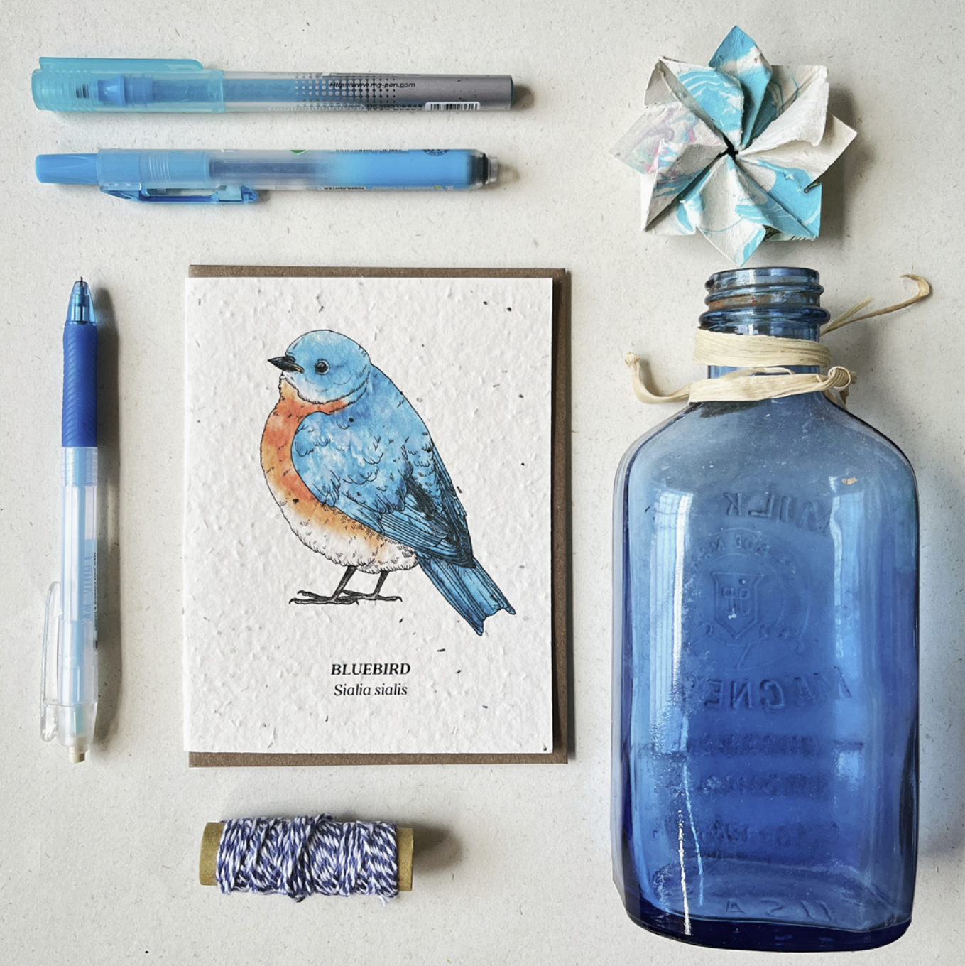 Small Victories BlueBird Plantable Card Size.png