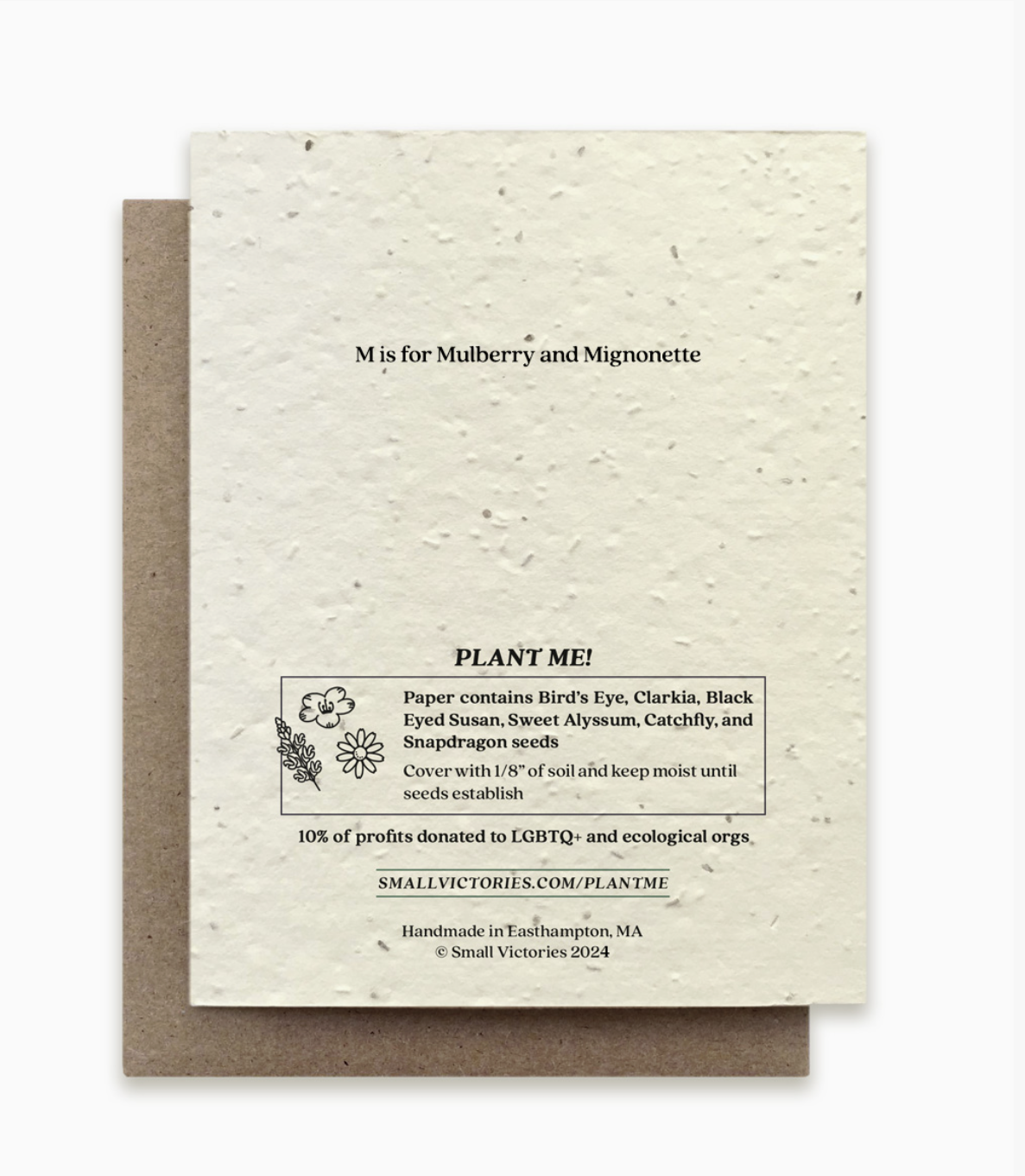 Small Victories Letter M Plantable Card Back.png