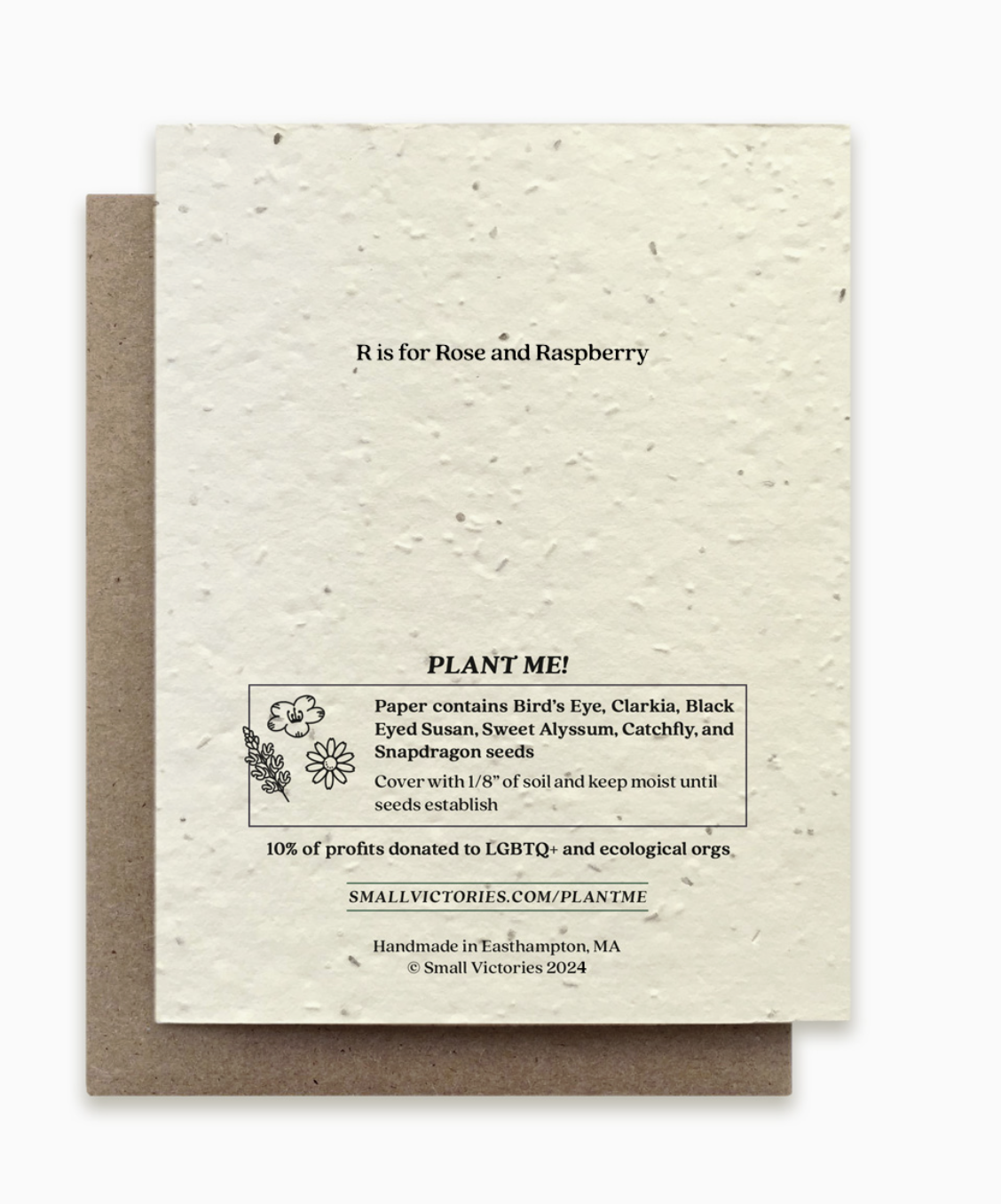 Small Victories Letter R Plantable Card Back.png