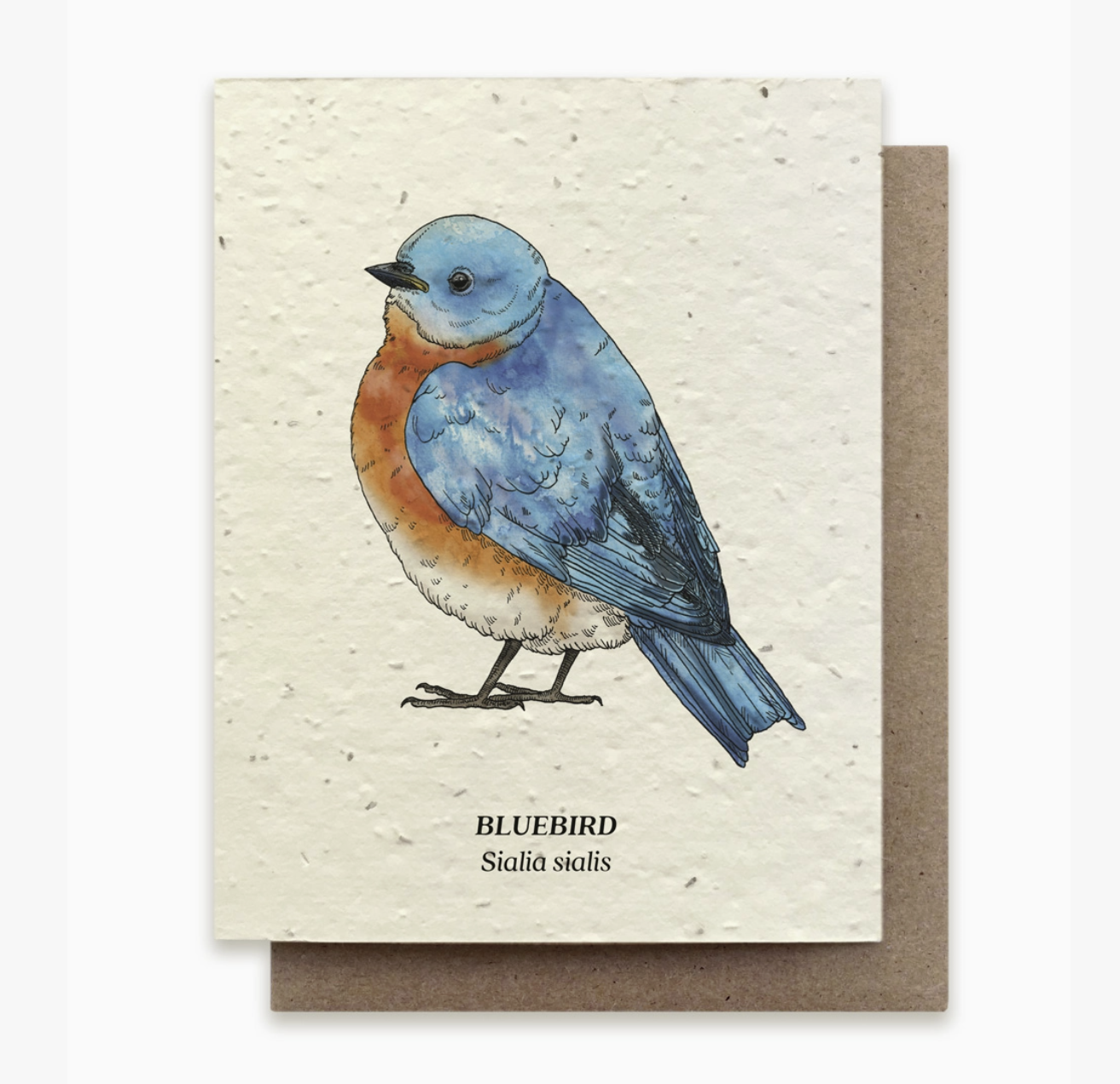 Small Victories BlueBird Plantable Card.png
