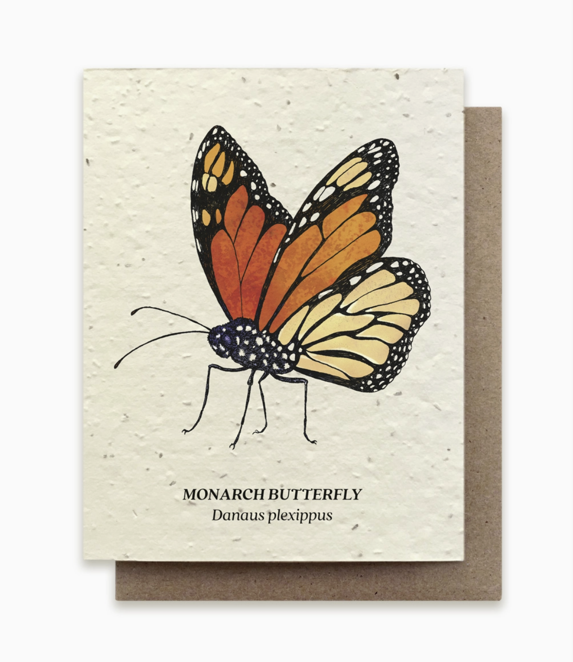 Small Victories Monarch Butterfly Plantable Card.png