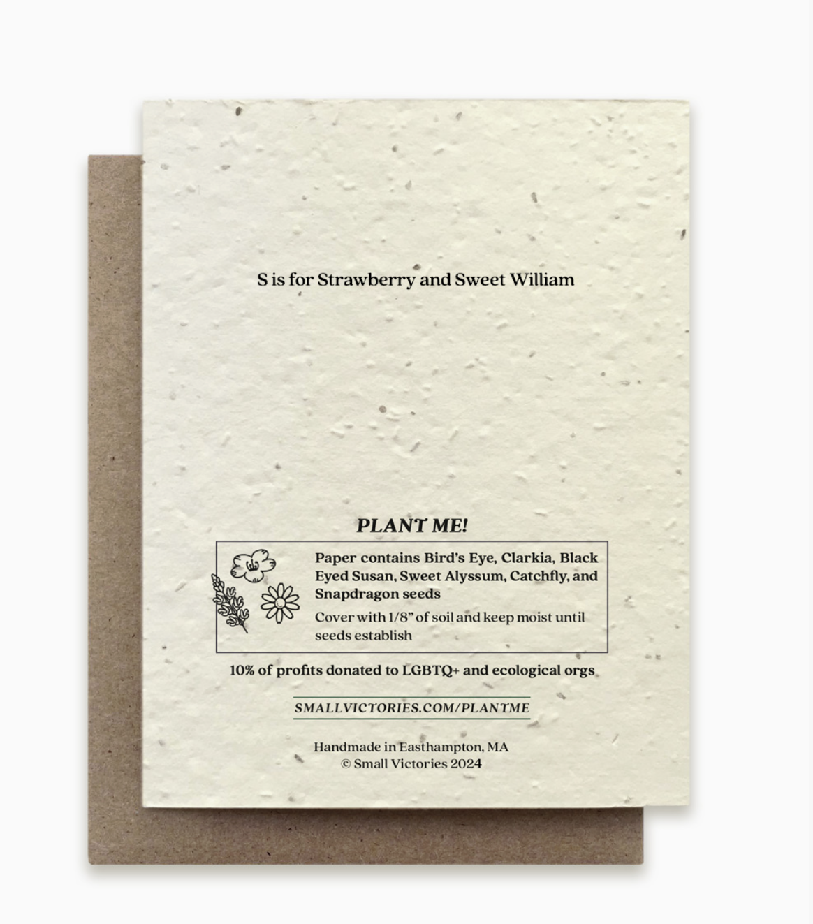 Small Victories Letter S Plantable Card Back.png