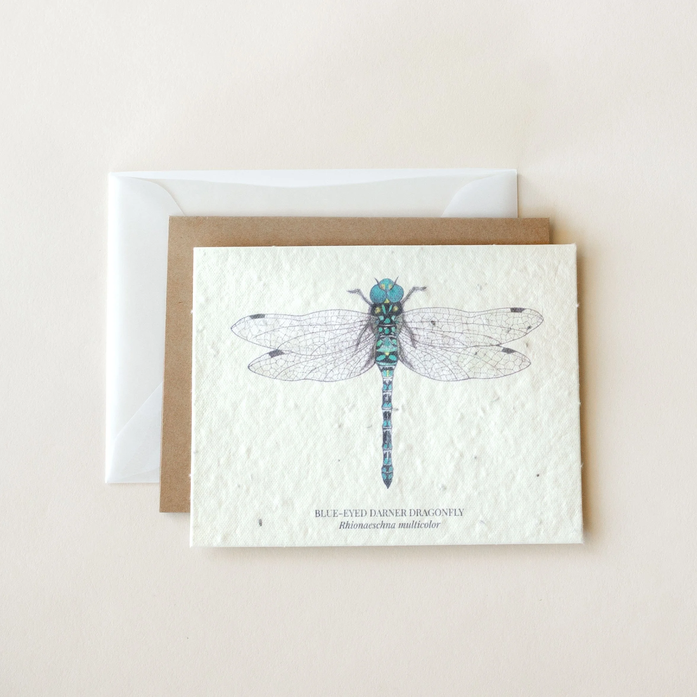 Dragonfly Plantable Wildflower Seed Card