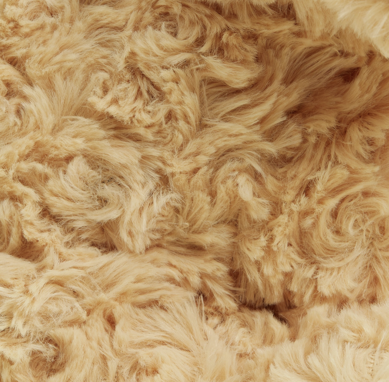 GOLDEN DOG WARMIES 4.png