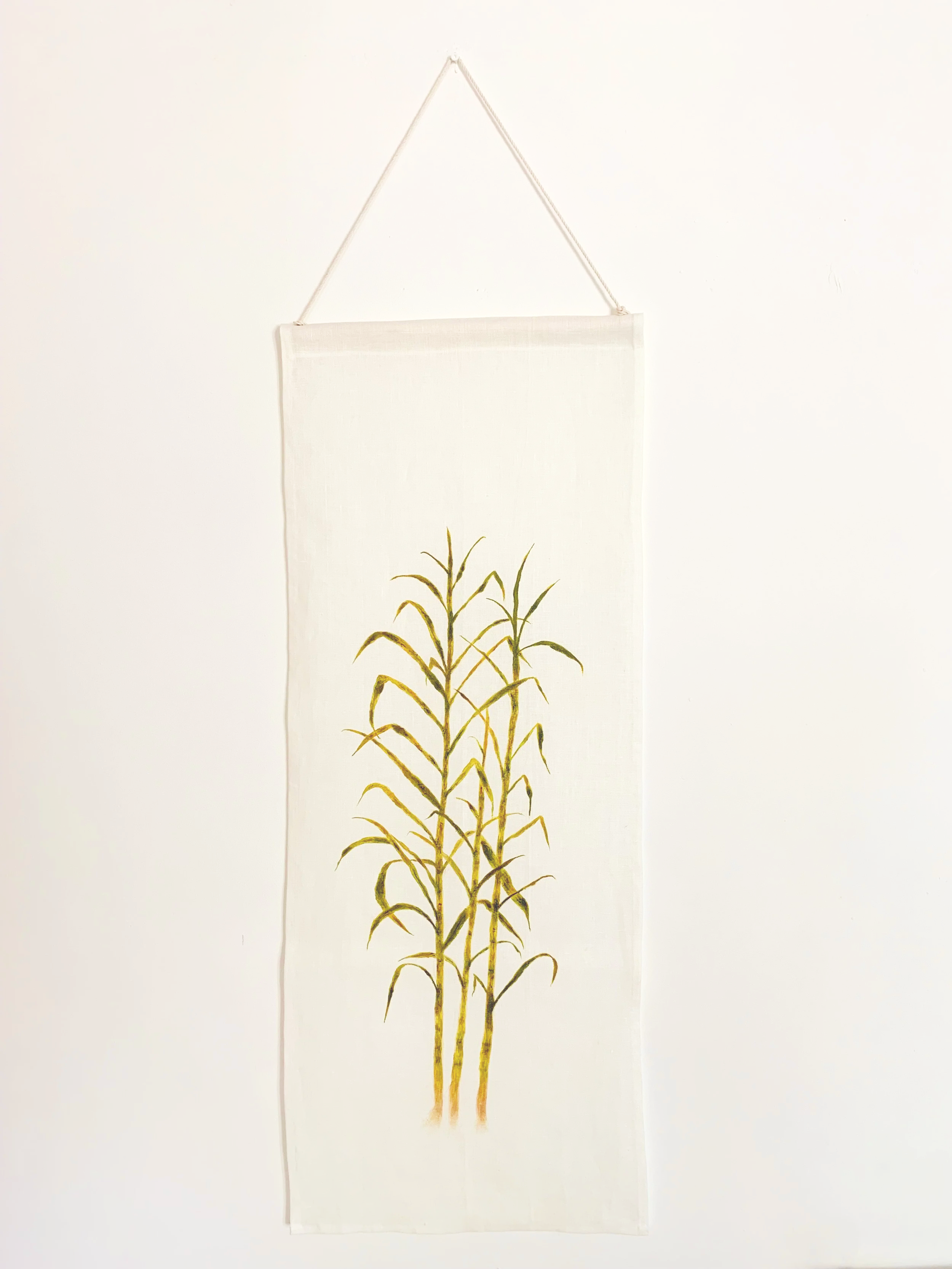 Sugarcane Memory II (2026) - Botanica Brasilis