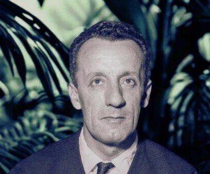 Merleau-Ponty on seeing and perception