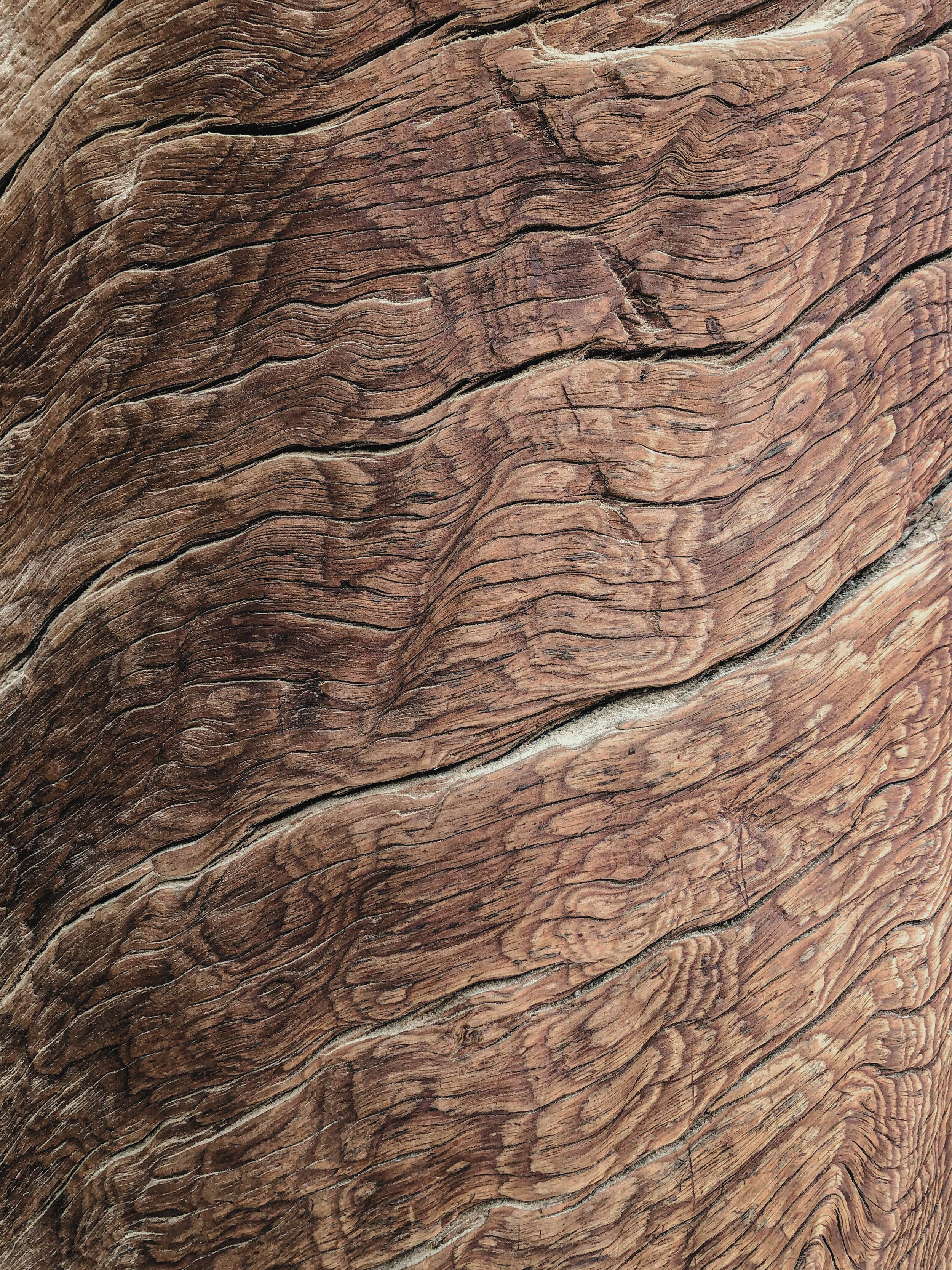 Attention and the making of meaning