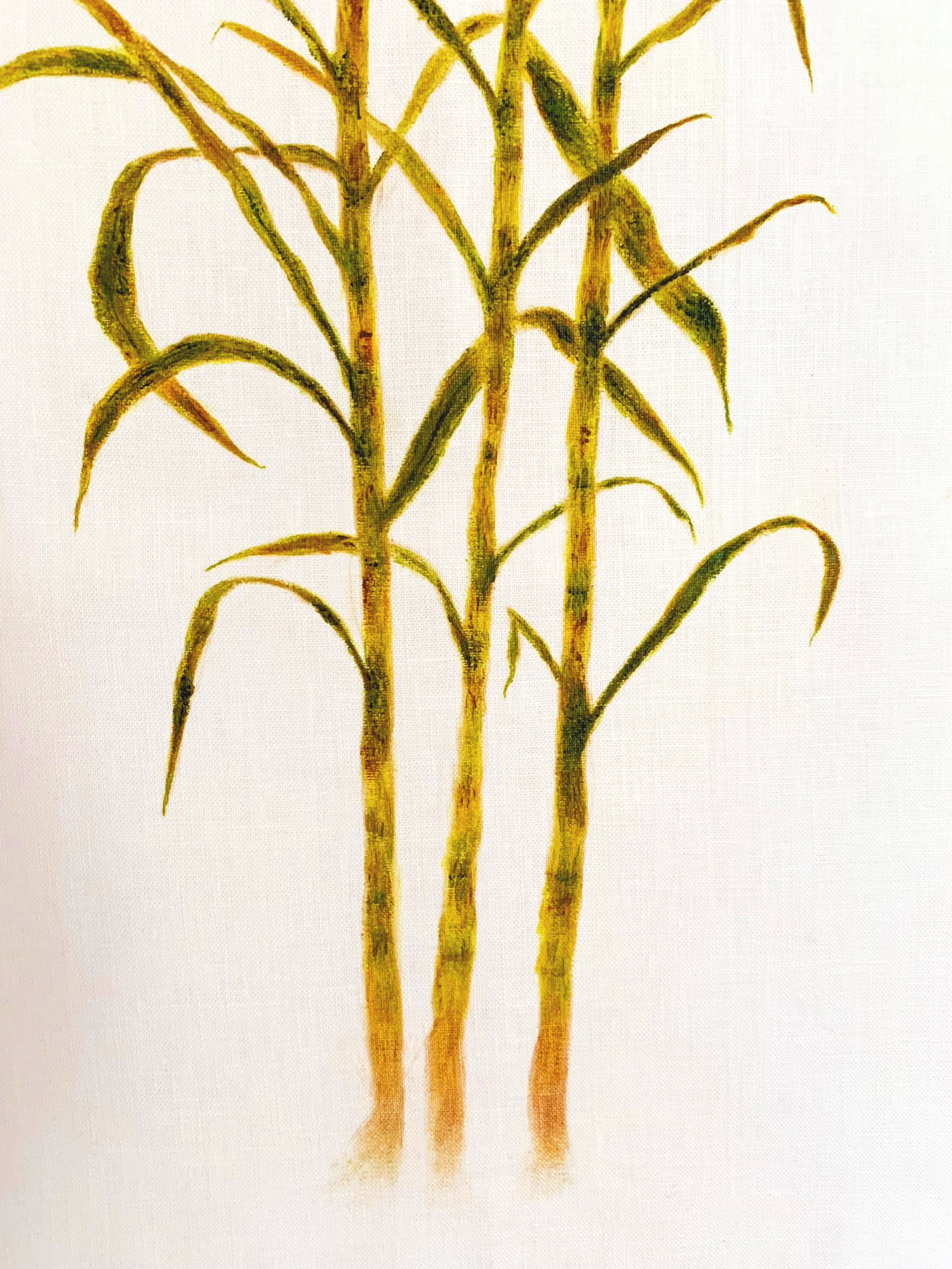 Flax linen scroll painting "Cultivation Study: Sugarcane II (2026)" by Cleidi Hearn. Part of the Cultivation Series within her Botanica Brasilis practice, depicting a green sugarcane plant.
