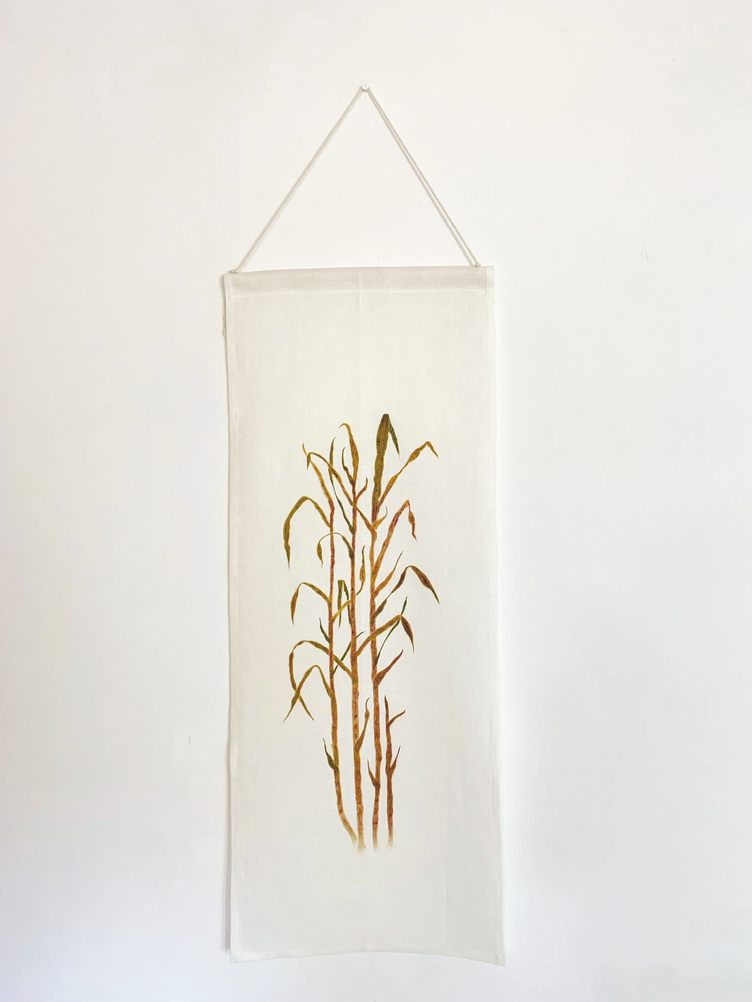 Sugarcane Memory III (2026) - Botanica Brasilis